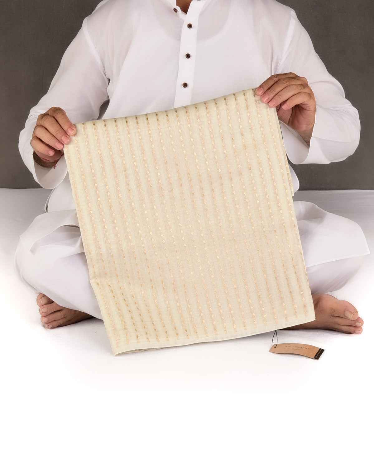 Ivory White Gold Zari Leaf Stripes Cutwork Brocade Woven Cotton Silk Banarasi Saree-HolyWeaves