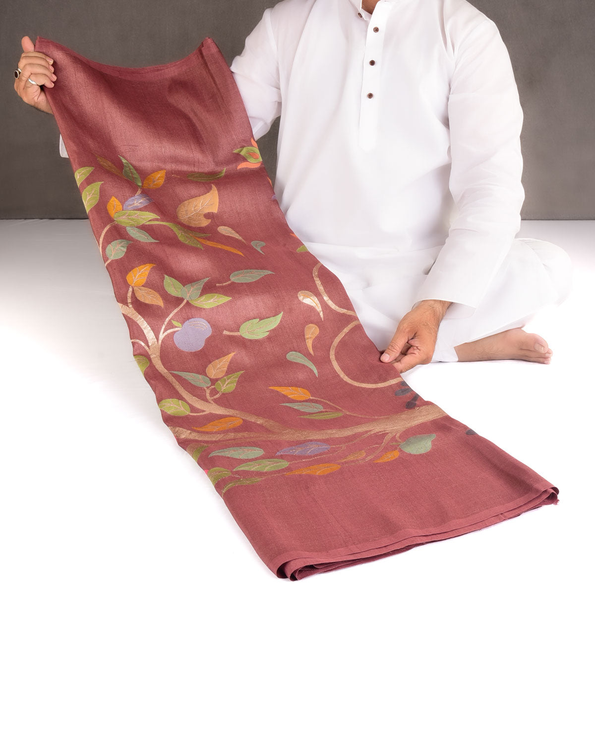 Brown Zari & Colored Leaves Palla Cutwork Brocade Handwoven Tasar Silk Banarasi Saree-HolyWeaves