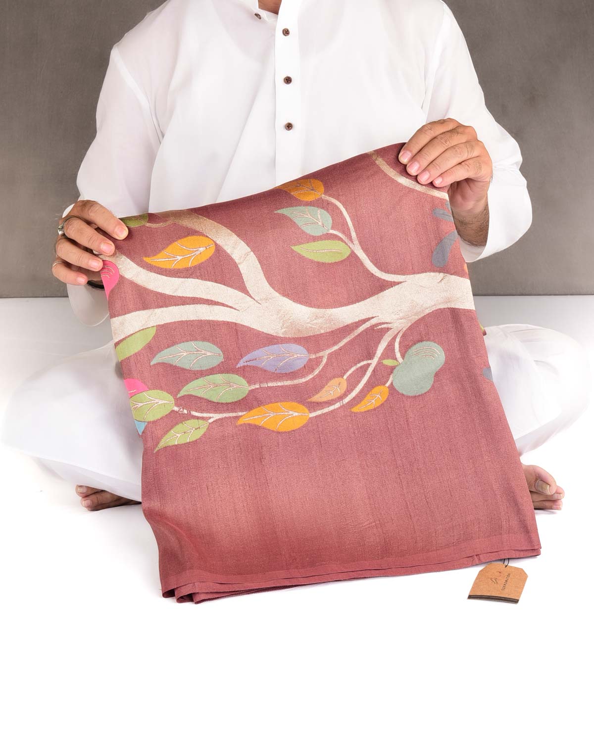 Brown Zari & Colored Leaves Palla Cutwork Brocade Handwoven Tasar Silk Banarasi Saree-HolyWeaves