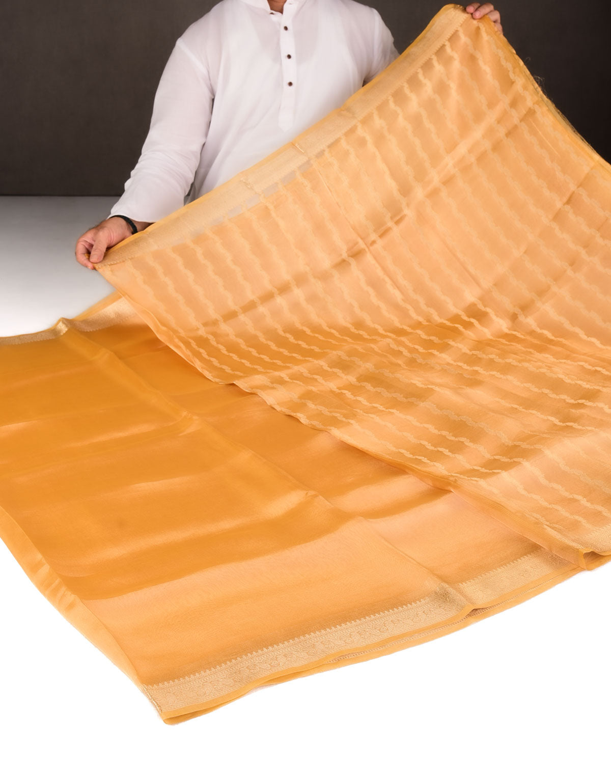 Metallic Trombone Yellow Brocade Woven Kora Tissue Banarasi Saree with Gold Brocade Border Pallu-HolyWeaves