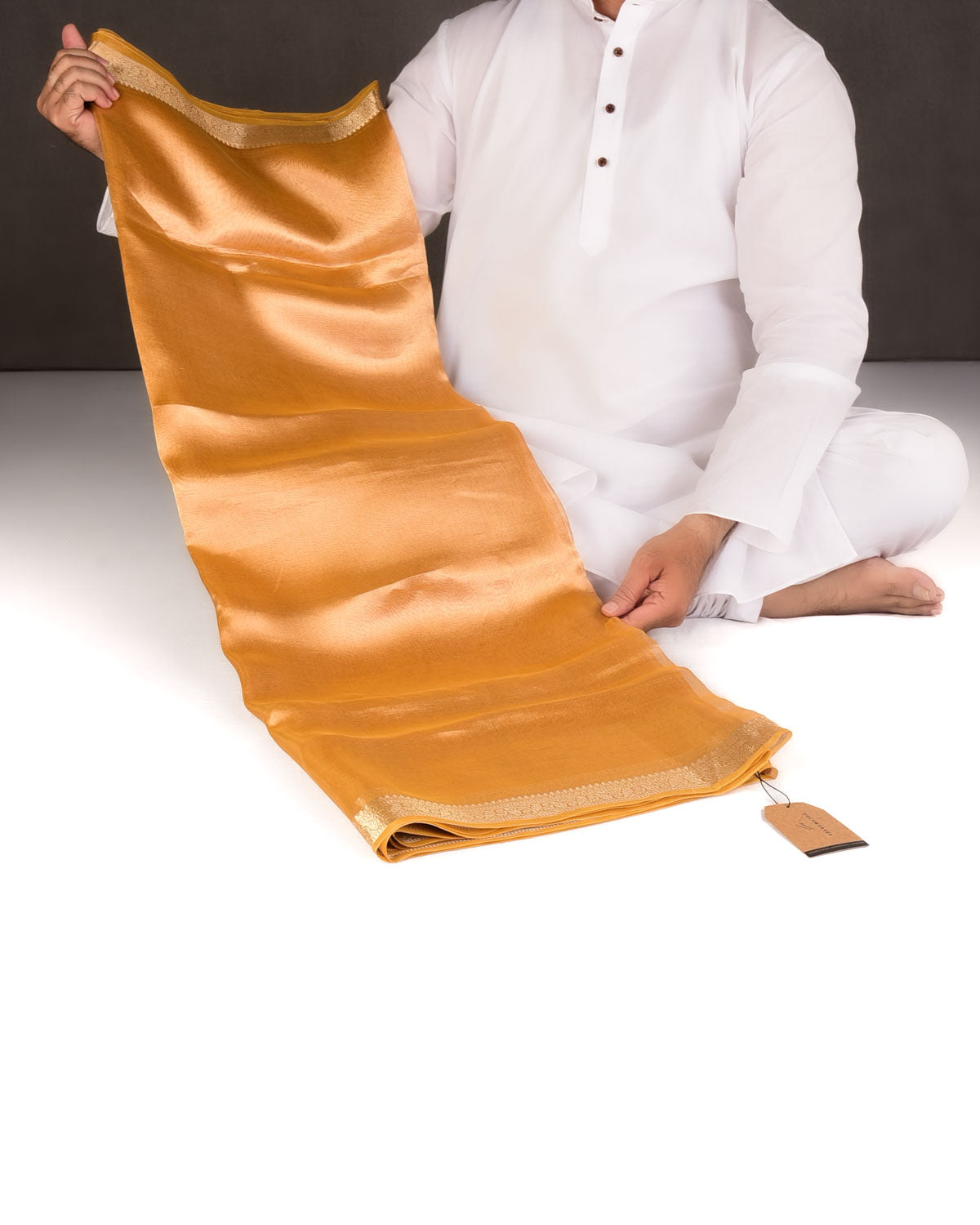 Metallic Trombone Yellow Brocade Woven Kora Tissue Banarasi Saree with Gold Brocade Border Pallu-HolyWeaves