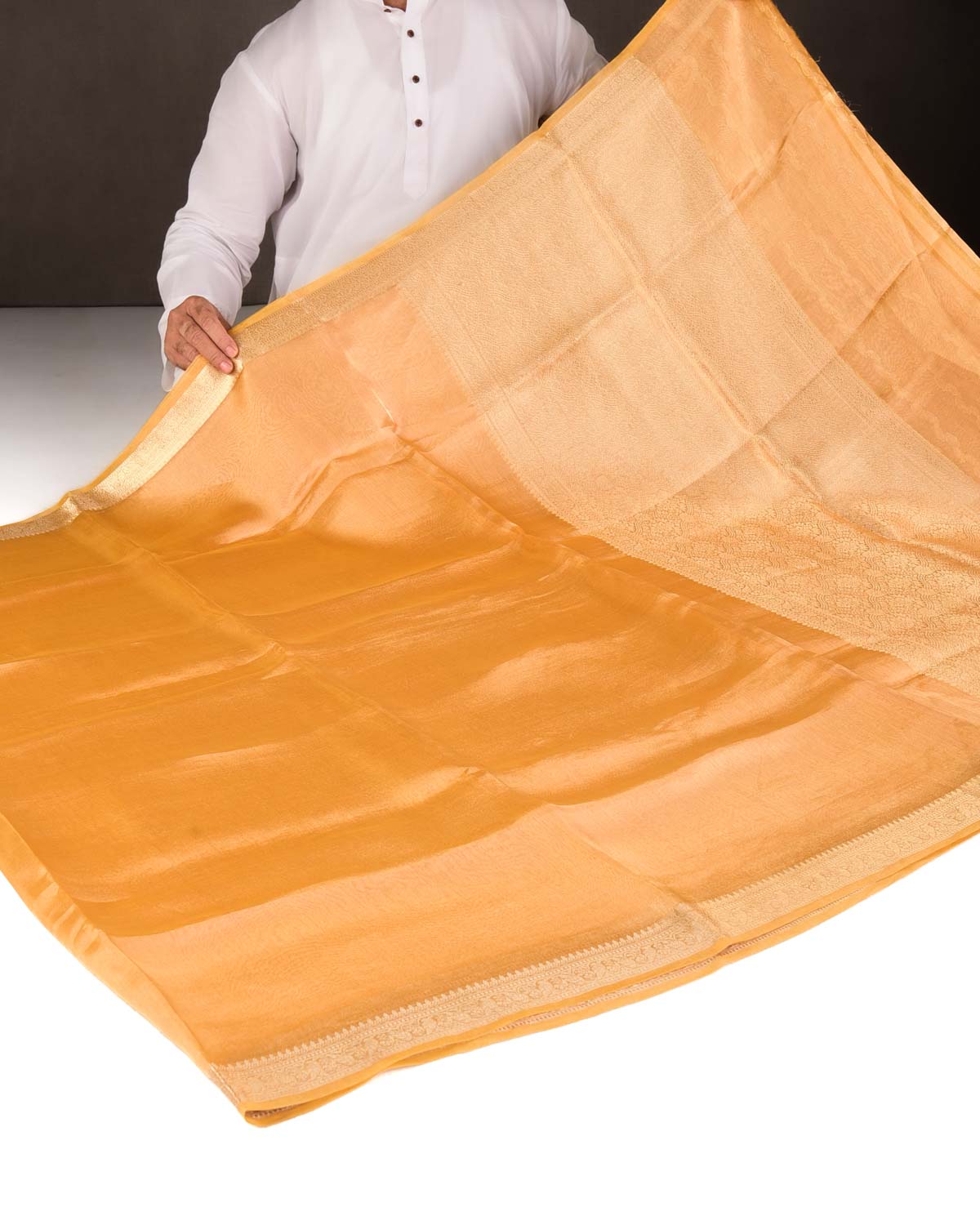 Metallic Trombone Yellow Brocade Woven Kora Tissue Banarasi Saree with Gold Brocade Border Pallu-HolyWeaves