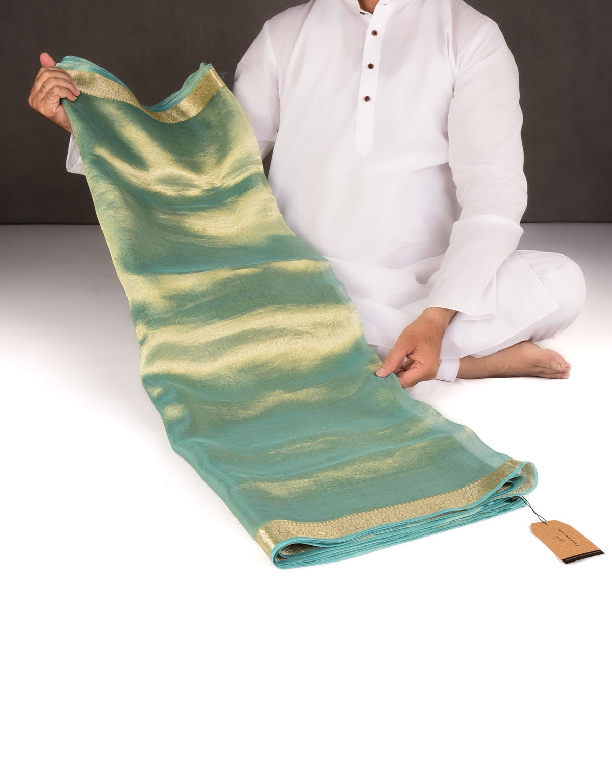 Metallic Aqua Marine Brocade Woven Kora Tissue Banarasi Saree with Gold Brocade Border Pallu-HolyWeaves
