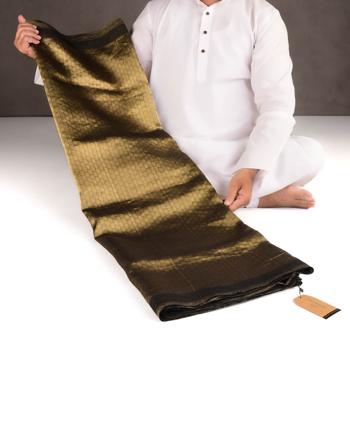 Metallic Gold WATERMARK Polka Dots Tanchoi Handwoven Kora Tissue Banarasi Saree-HolyWeaves