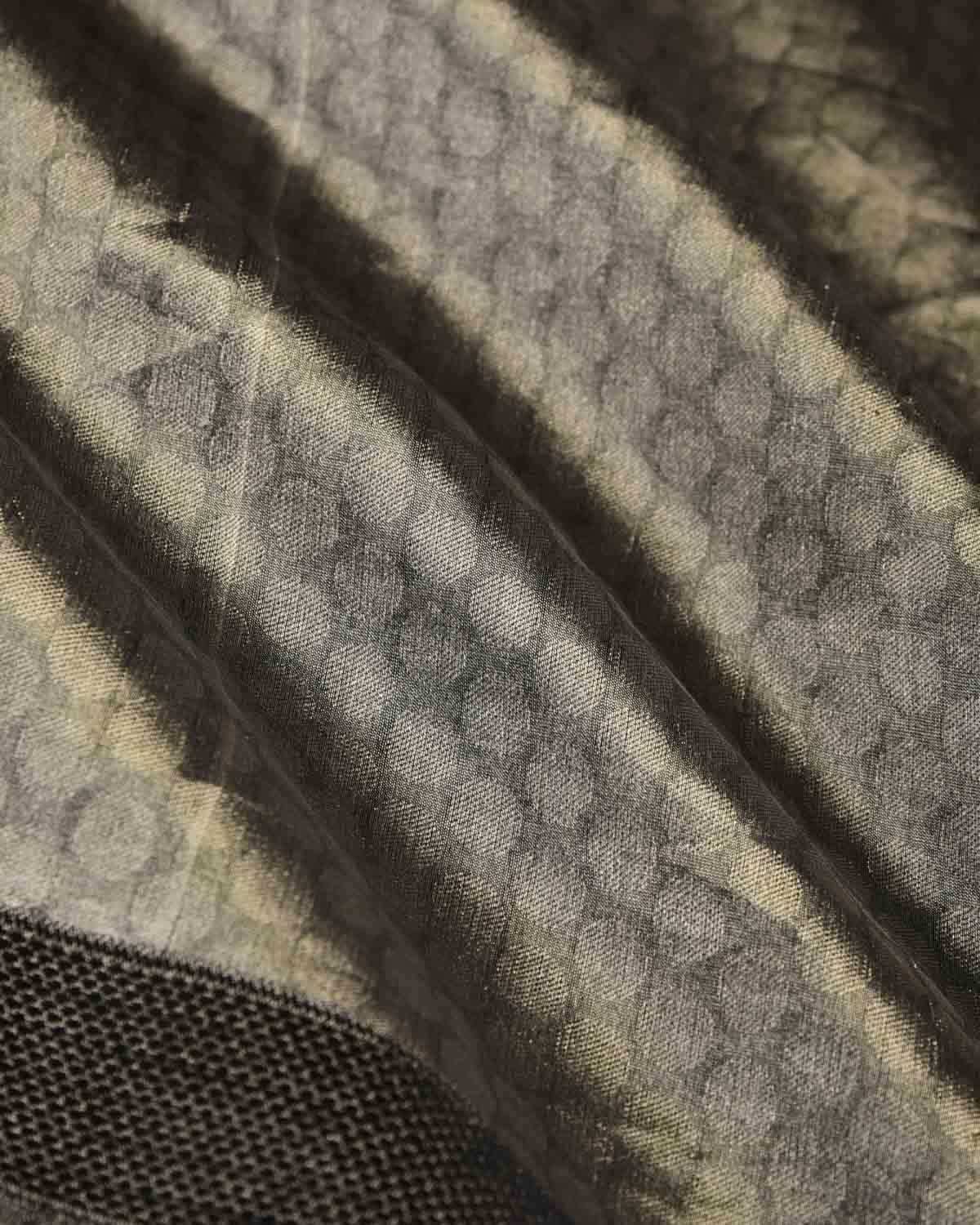 Metallic Silver WATERMARK Polka Dots Tanchoi Handwoven Kora Tissue Banarasi Saree-HolyWeaves