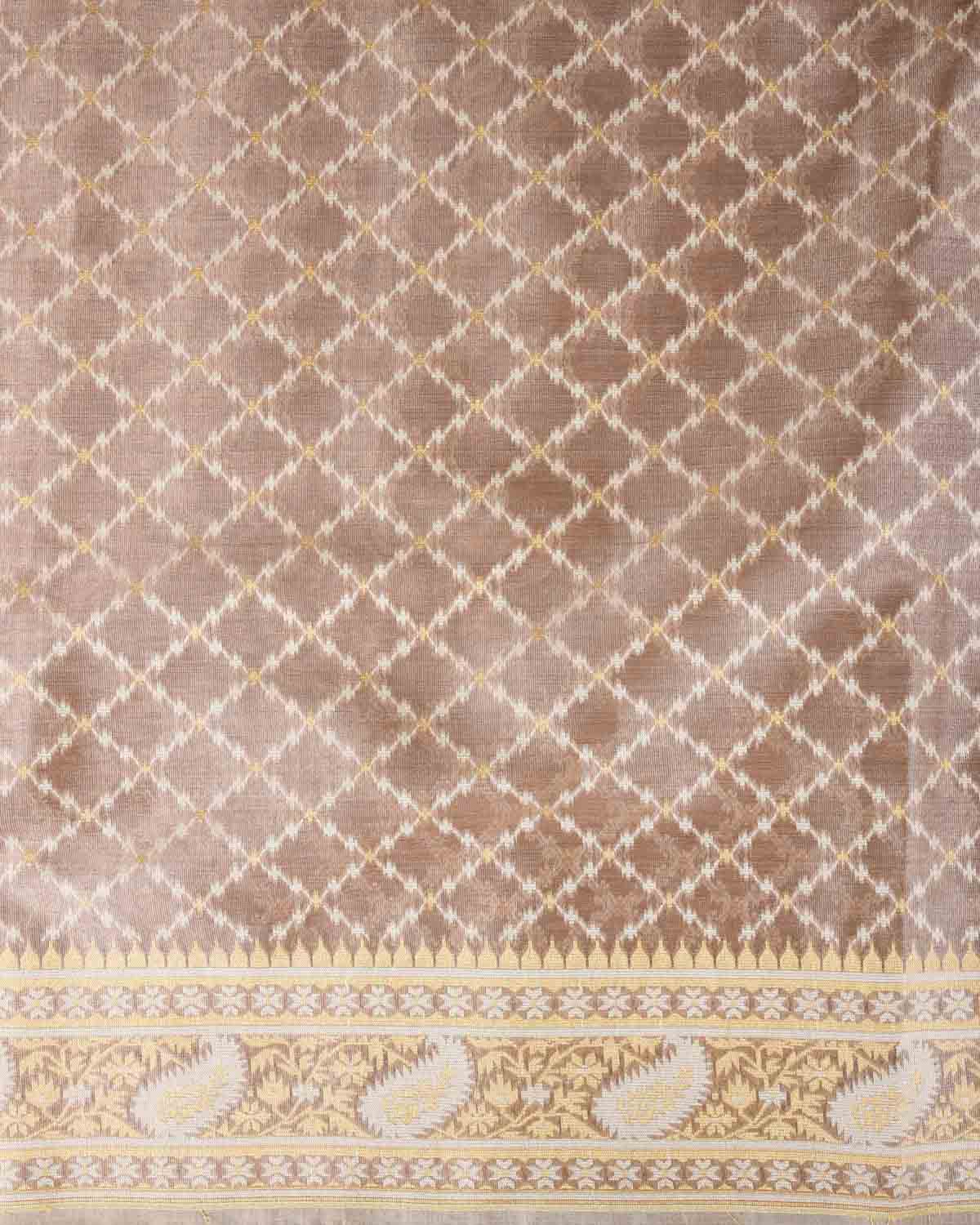 Metallic Brown Gold Zari And White Resham Jaal Cutwork Brocade Woven Art Cotton Tissue Banarasi Saree-HolyWeaves