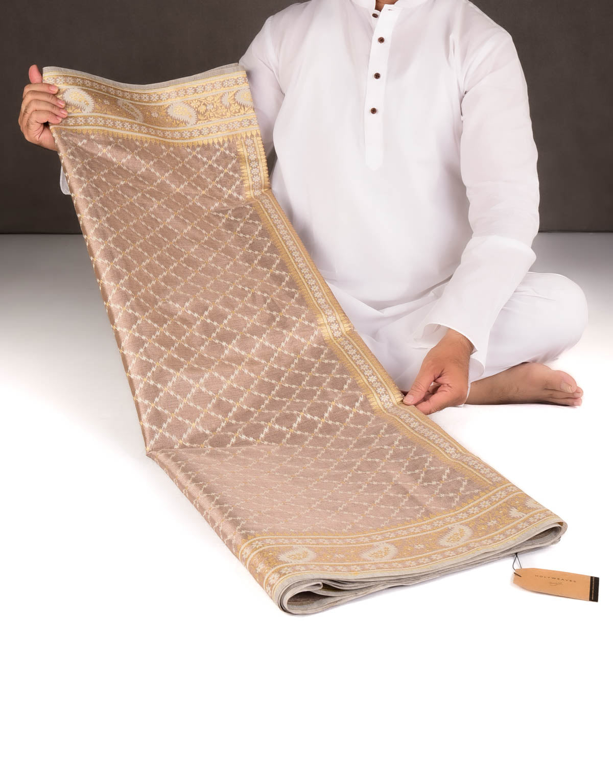 Metallic Brown Gold Zari And White Resham Jaal Cutwork Brocade Woven Art Cotton Tissue Banarasi Saree-HolyWeaves