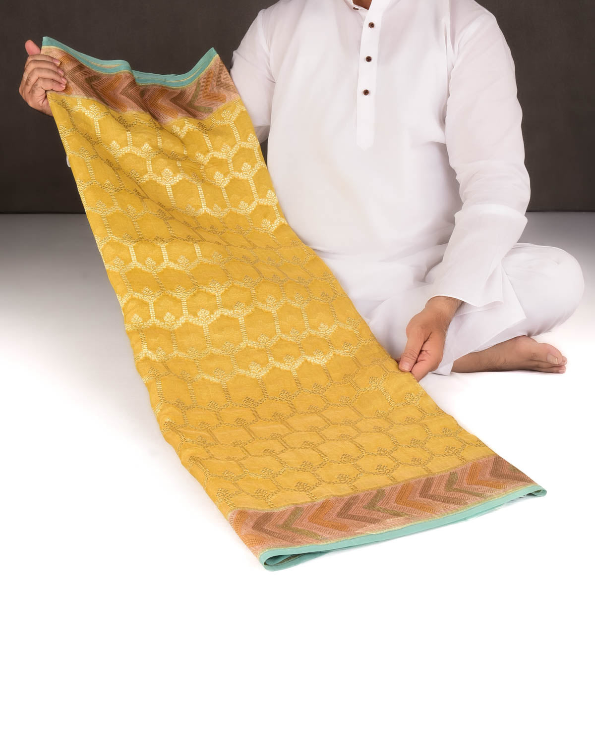 Yellow Gold Zari Jangla Hand Brush Dye Border Cutwork Brocade Woven Georgette Tissue Banarasi Saree-HolyWeaves