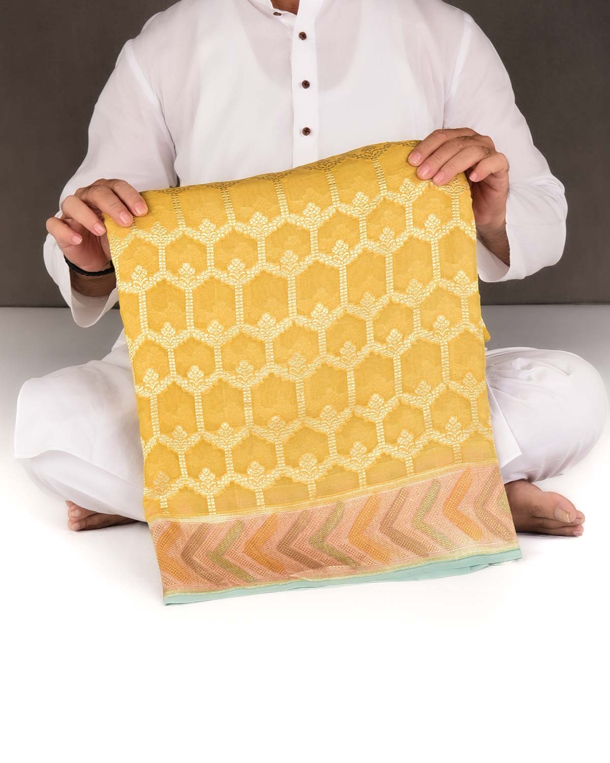 Yellow Gold Zari Jangla Hand Brush Dye Border Cutwork Brocade Woven Georgette Tissue Banarasi Saree-HolyWeaves