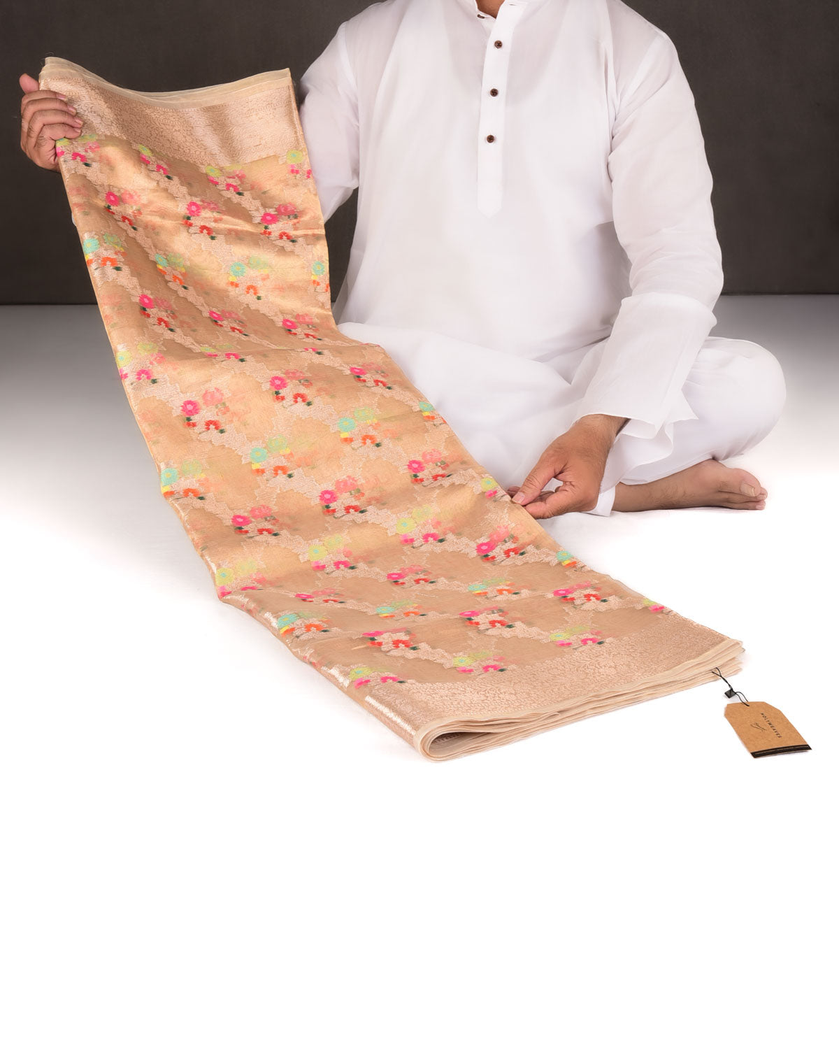 Metallic Gold Zari & Resham Floral Diagonal Bel Brocade Woven Kora Tissue Banarasi Saree-HolyWeaves