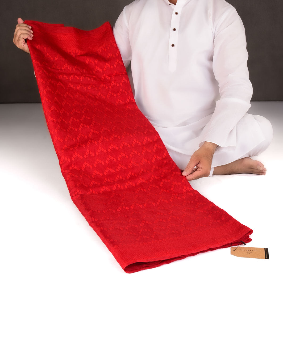 Red Self Buti Cutwork Brocade Woven Art Cotton Silk Banarasi Saree-HolyWeaves