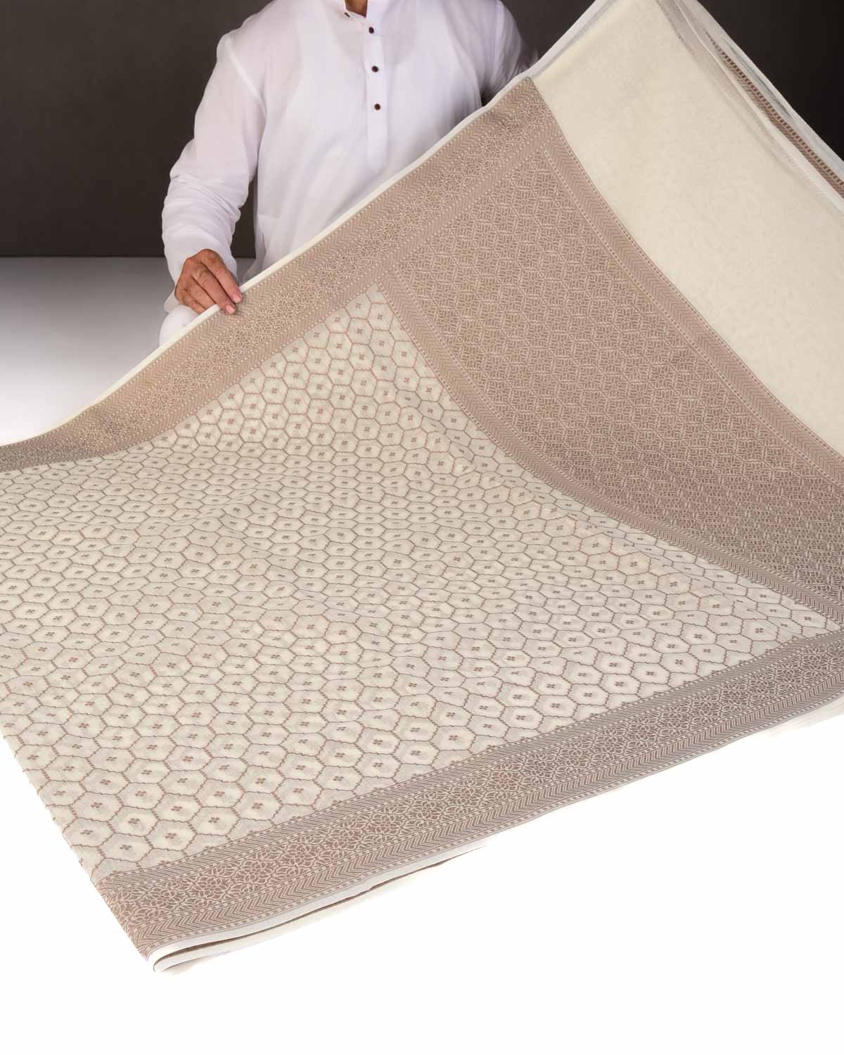 Beige Cream Resham Jangla Cutwork Brocade Woven Art Cotton Silk Banarasi Saree
