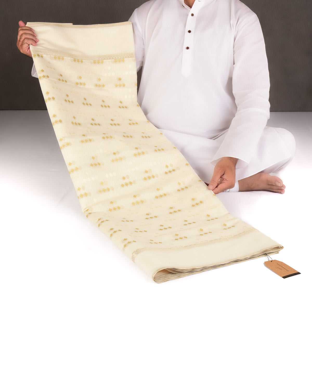 Beige On Cream Resham Leaf Scatter Buti Cutwork Brocade Woven Art Cotton Silk Banarasi Saree