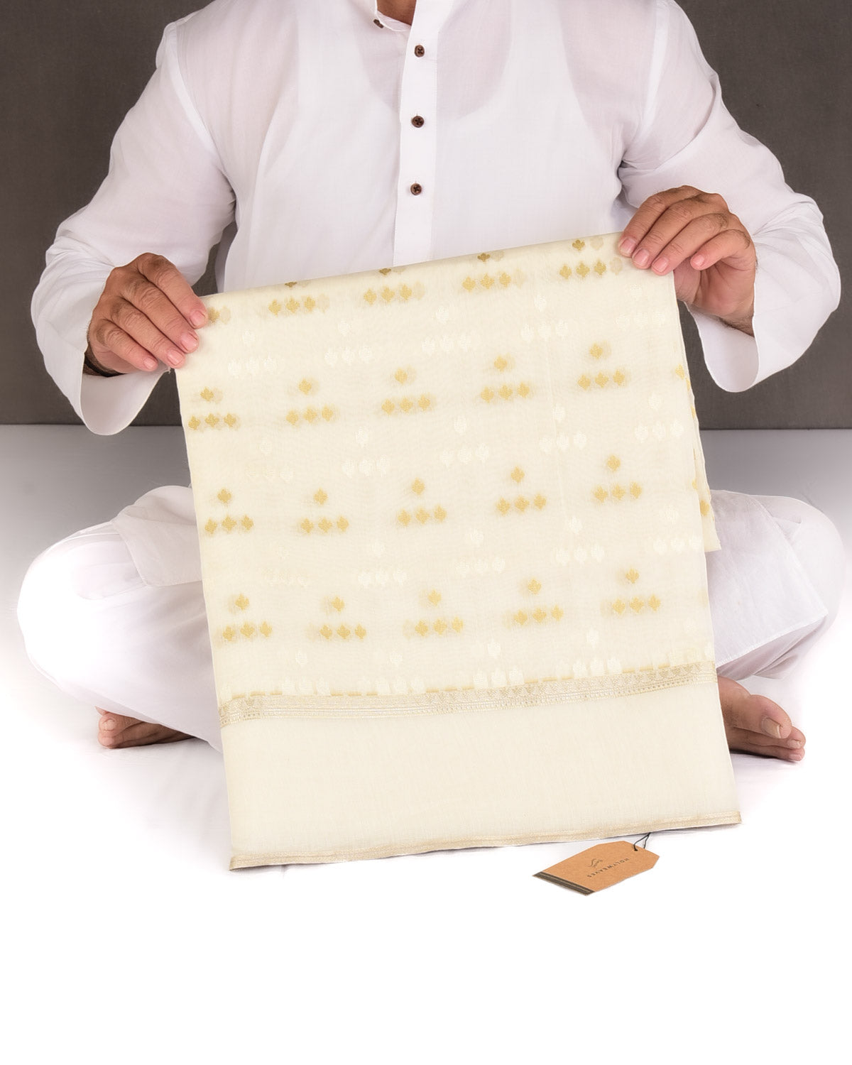 Beige On Cream Resham Leaf Scatter Buti Cutwork Brocade Woven Art Cotton Silk Banarasi Saree