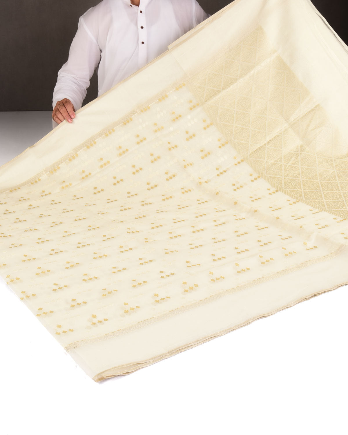 Beige On Cream Resham Leaf Scatter Buti Cutwork Brocade Woven Art Cotton Silk Banarasi Saree