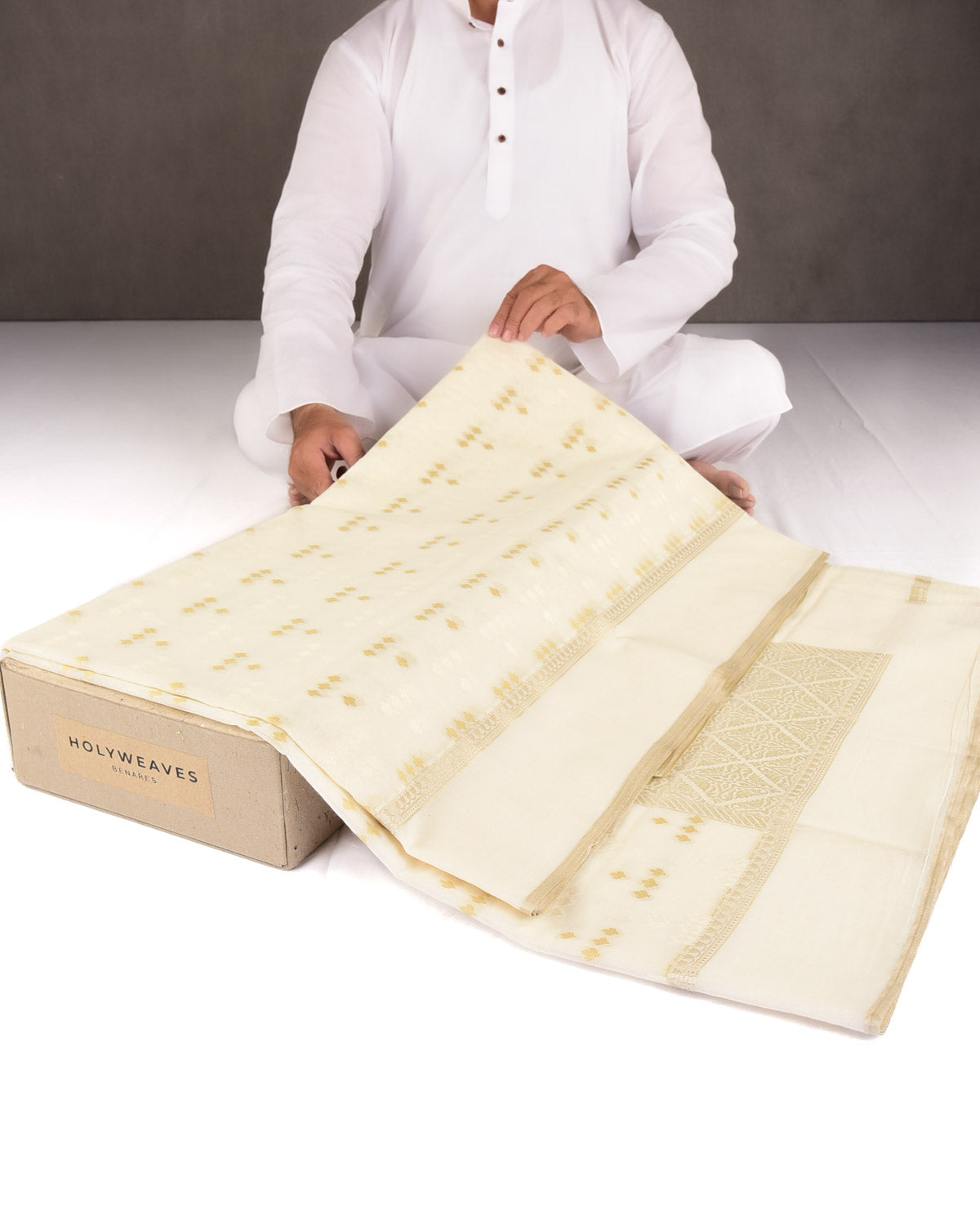 Beige On Cream Resham Leaf Scatter Buti Cutwork Brocade Woven Art Cotton Silk Banarasi Saree