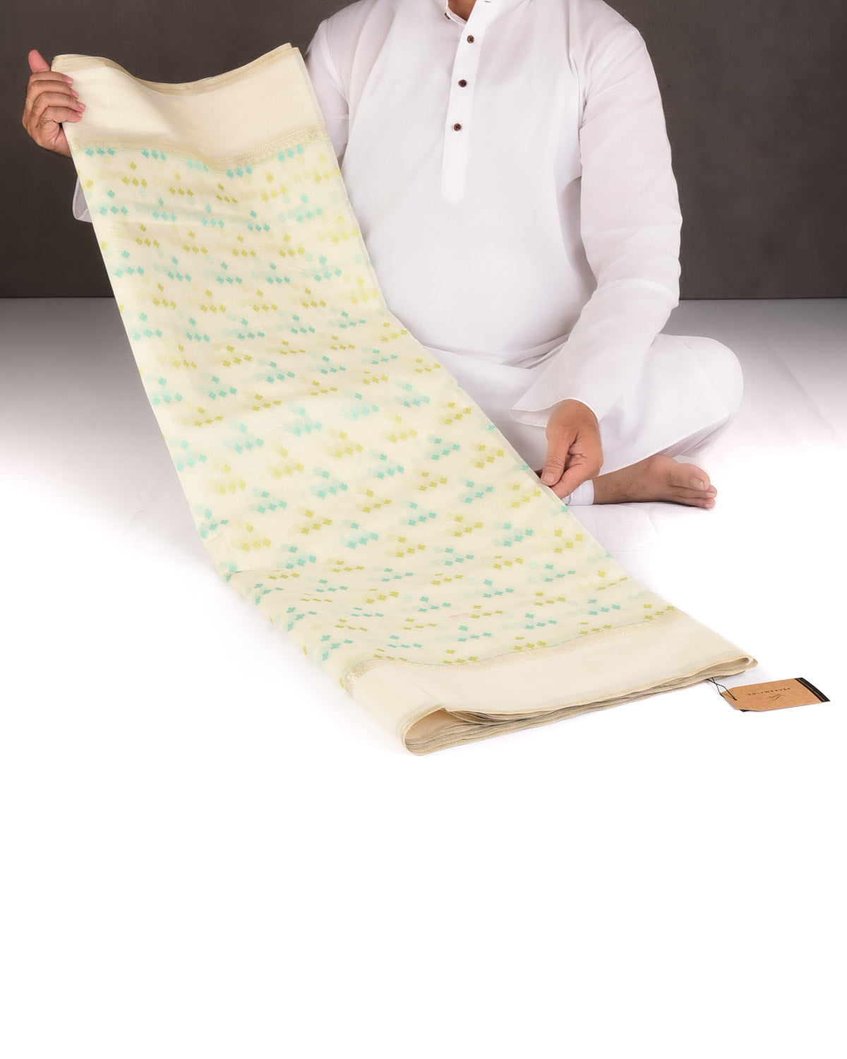 Blue-Green on Cream Resham Leaf Scatter Buti Cutwork Brocade Woven Art Cotton Silk Banarasi Saree