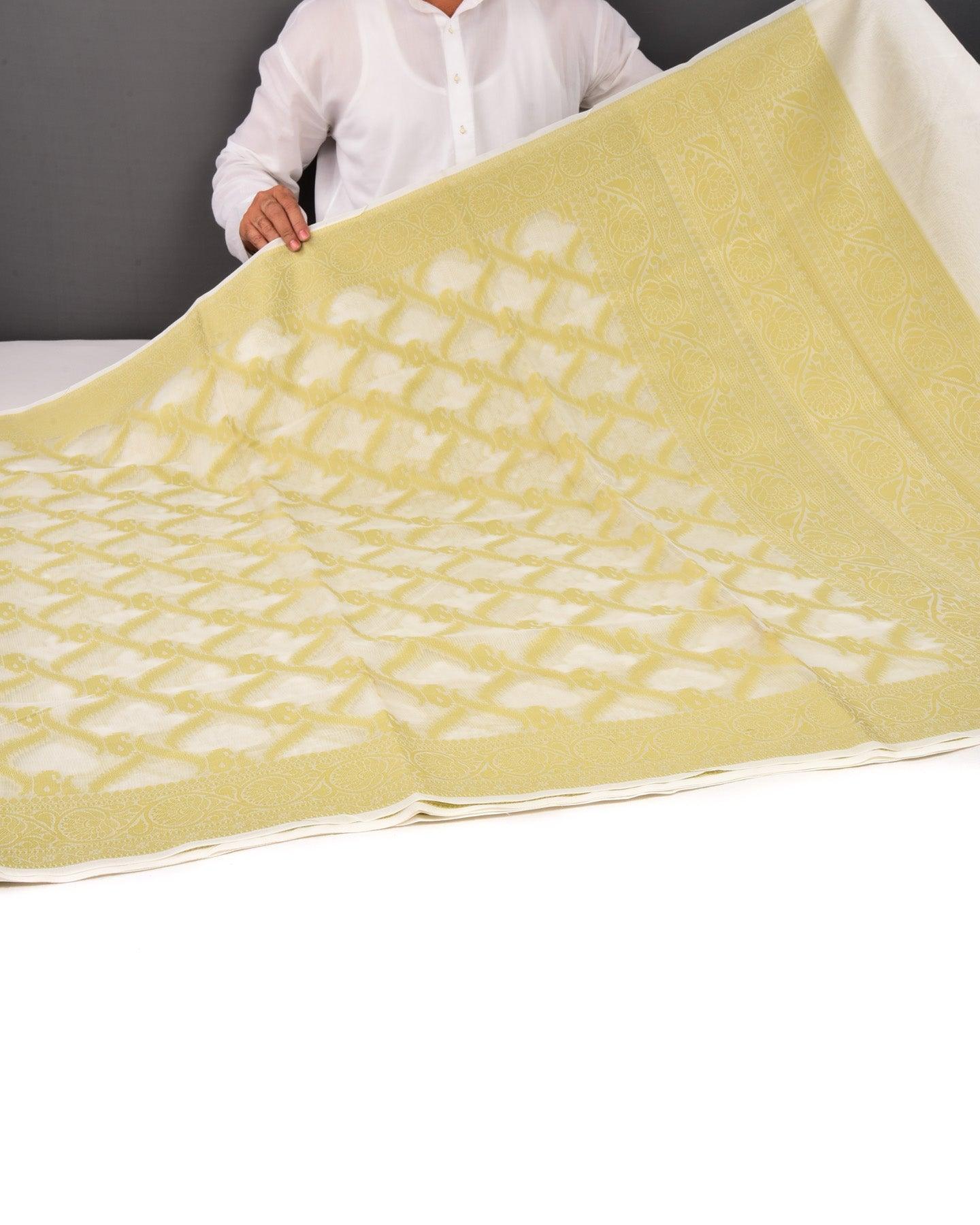 White with Green Banarasi Resham Jaal Cutwork Brocade Woven Art Cotton Silk Saree - By HolyWeaves, Benares