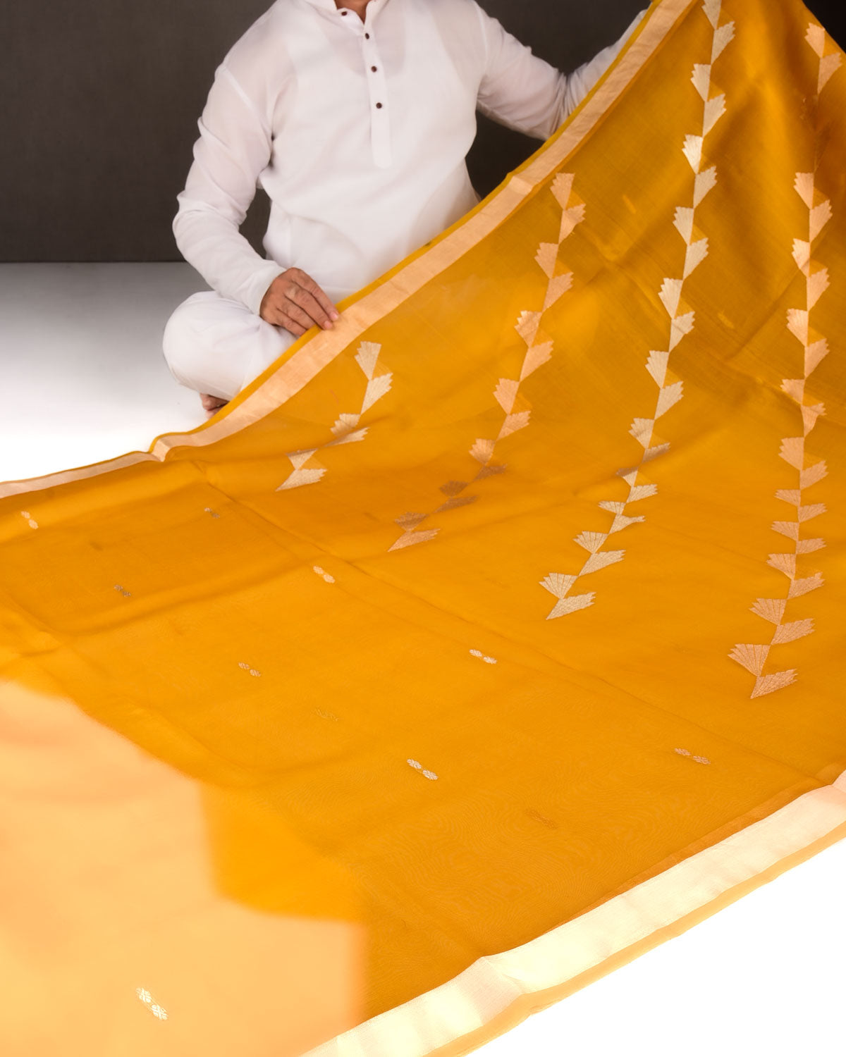 Mustard Yellow Gold & Silver Zari Wings Kadhuan Brocade Handwoven Kora Silk Banarasi Saree-HolyWeaves