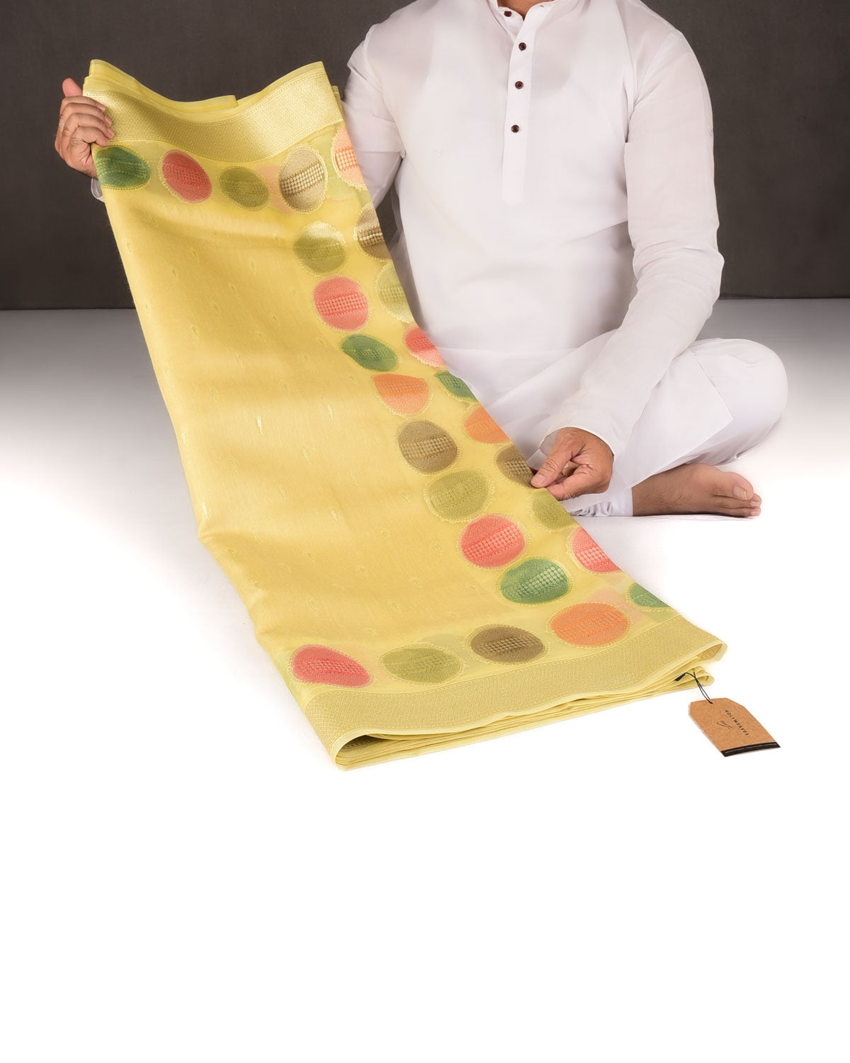 Yellow Gold Zari Buti Hand Brush Dye Spheres Cutwork Brocade Woven Kora Silk Banarasi Saree-HolyWeaves