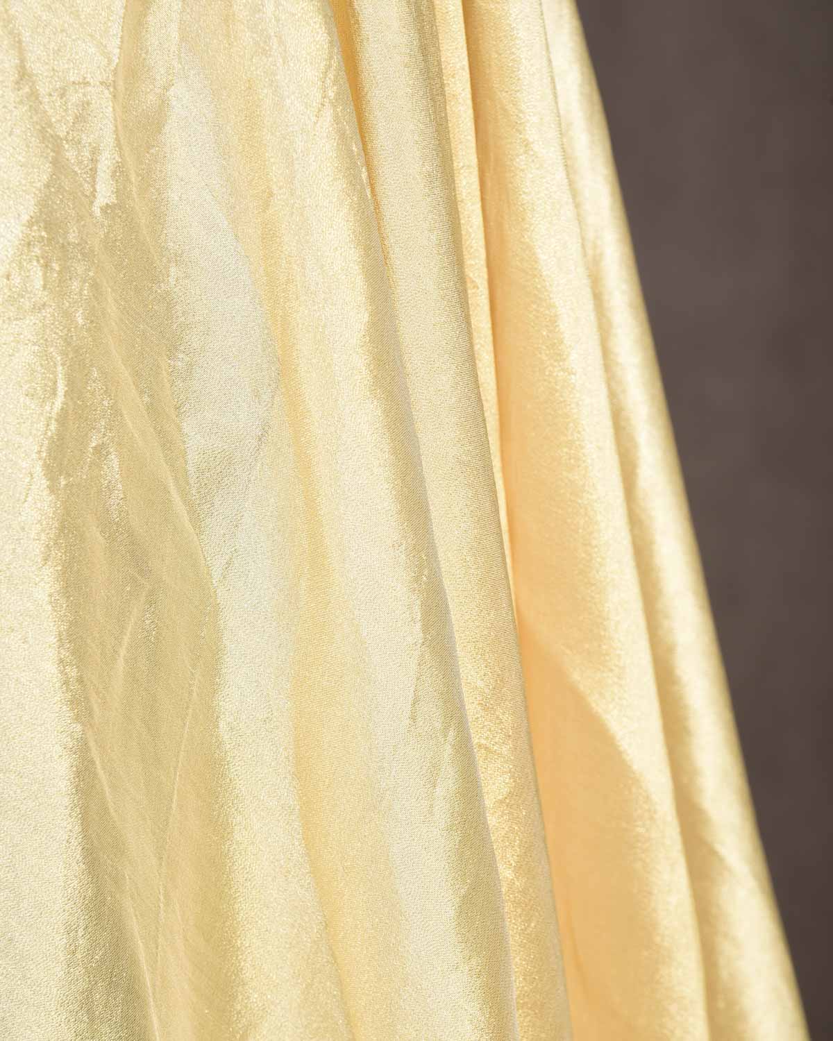 Gold Woven Tissue Banarasi Fabric-HolyWeaves