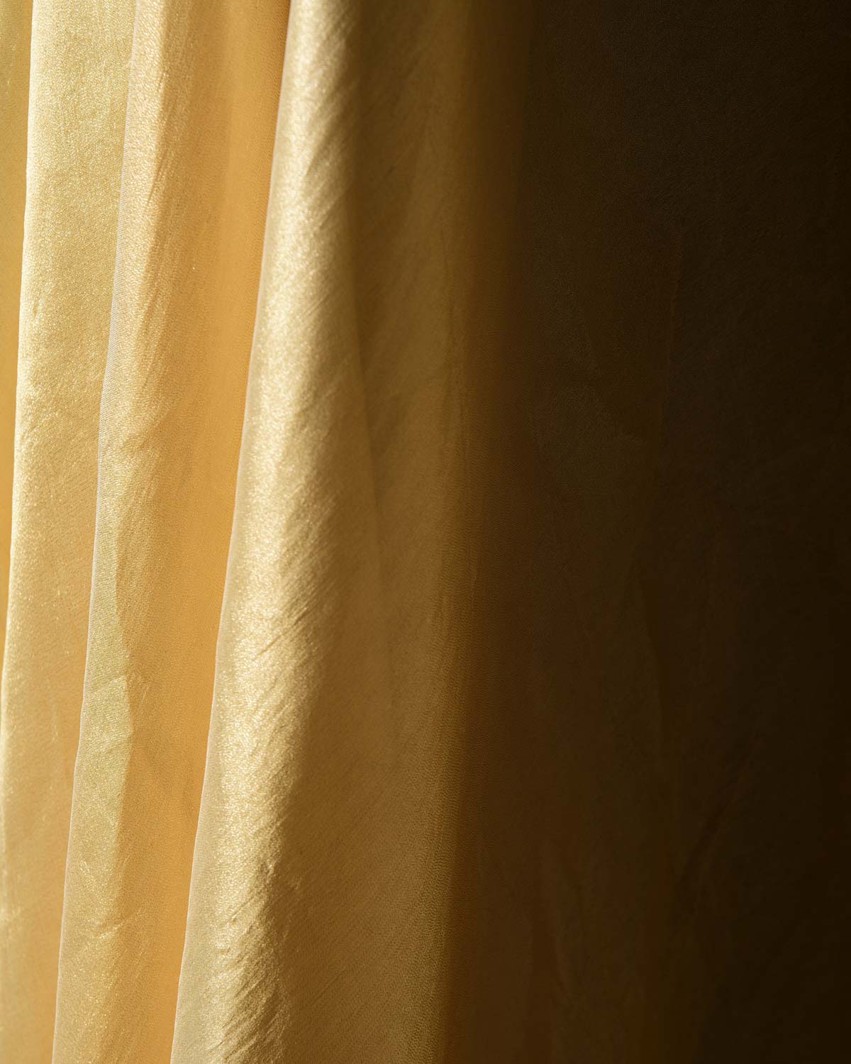 Gold Woven Tissue Banarasi Fabric-HolyWeaves