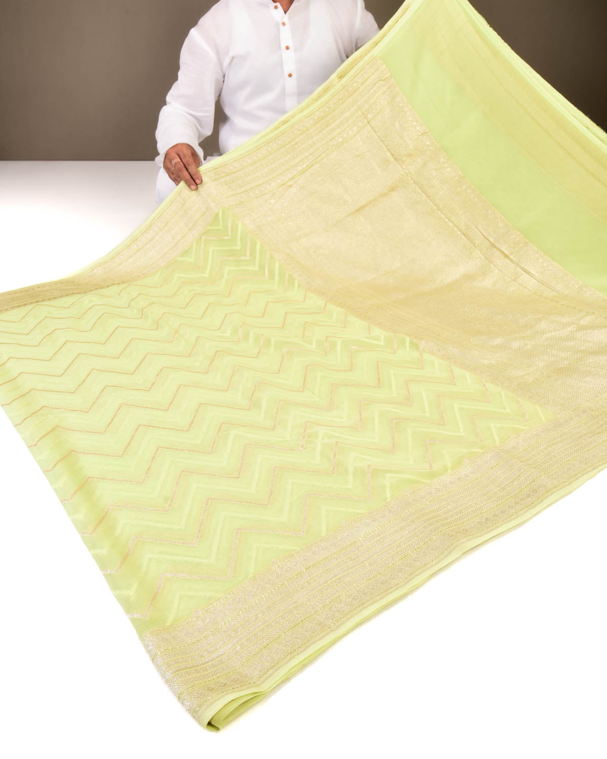 Pastel Green Banarasi Zari & Resham Chevron Cutwork Brocade Handwoven Khaddi Georgette Saree-HolyWeaves