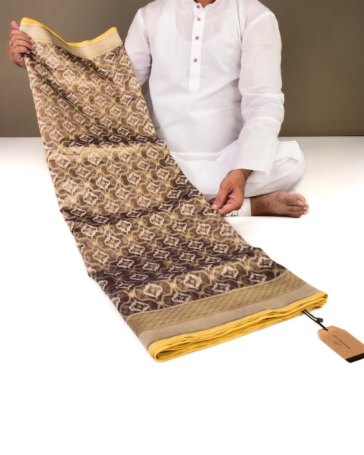 Metallic Brown Banarasi Gold Zari & Resham Jaal Cutwork Brocade Handwoven Kora Tissue Saree-HolyWeaves