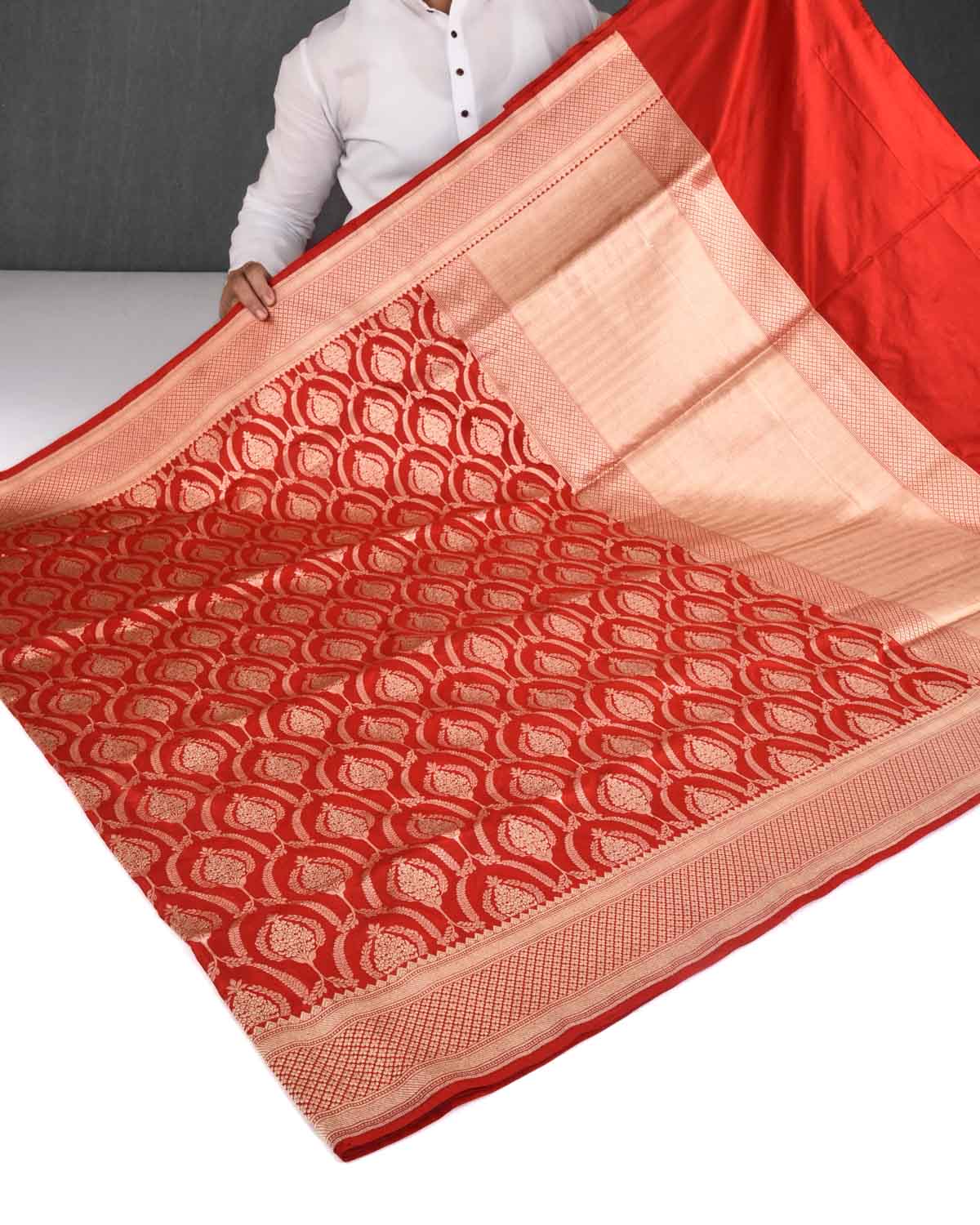 Bridal Red Banarasi Gold Zari Classic Jaal Cutwork Brocade Handwoven Katan Silk Saree-HolyWeaves