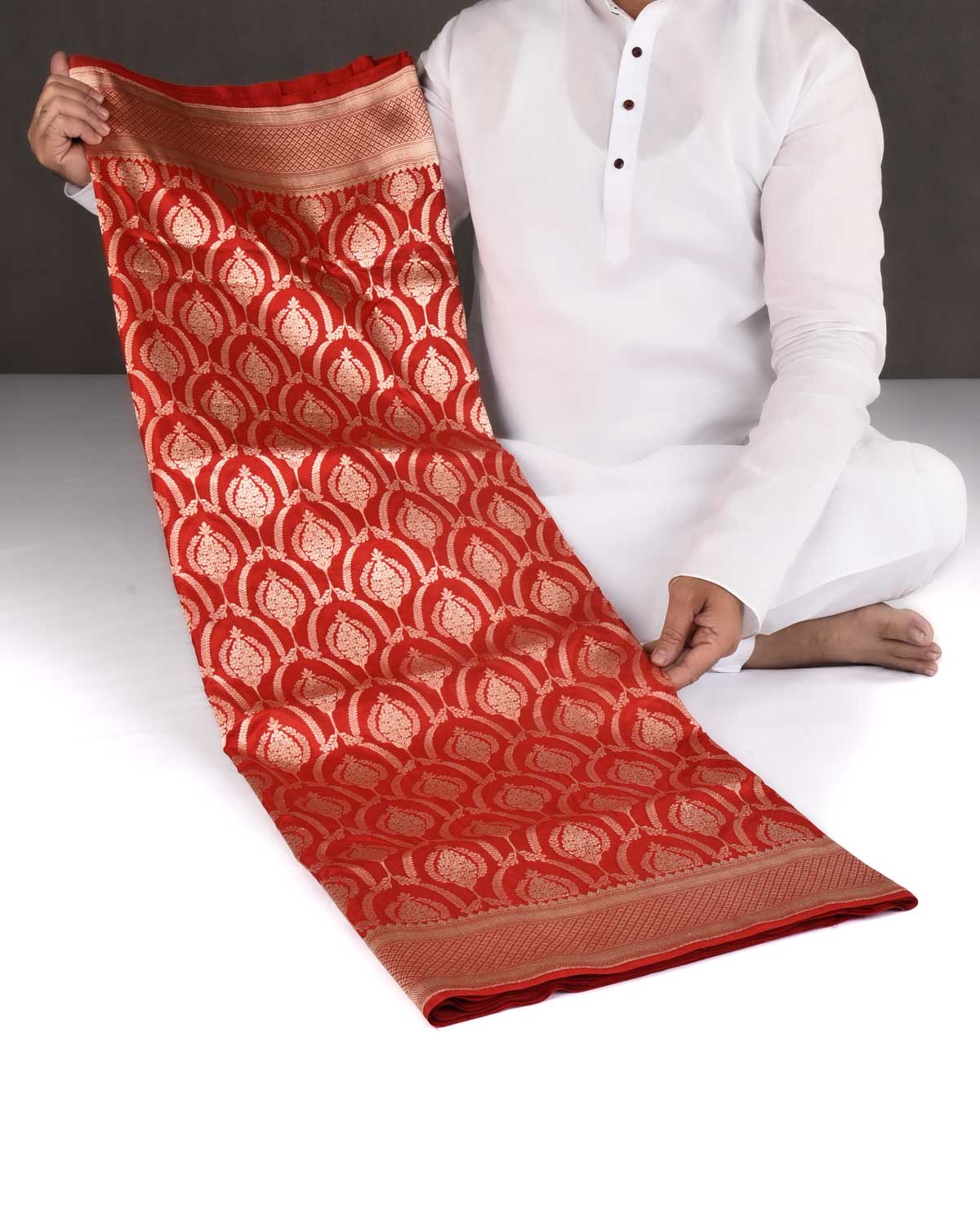 Bridal Red Banarasi Gold Zari Classic Jaal Cutwork Brocade Handwoven Katan Silk Saree-HolyWeaves