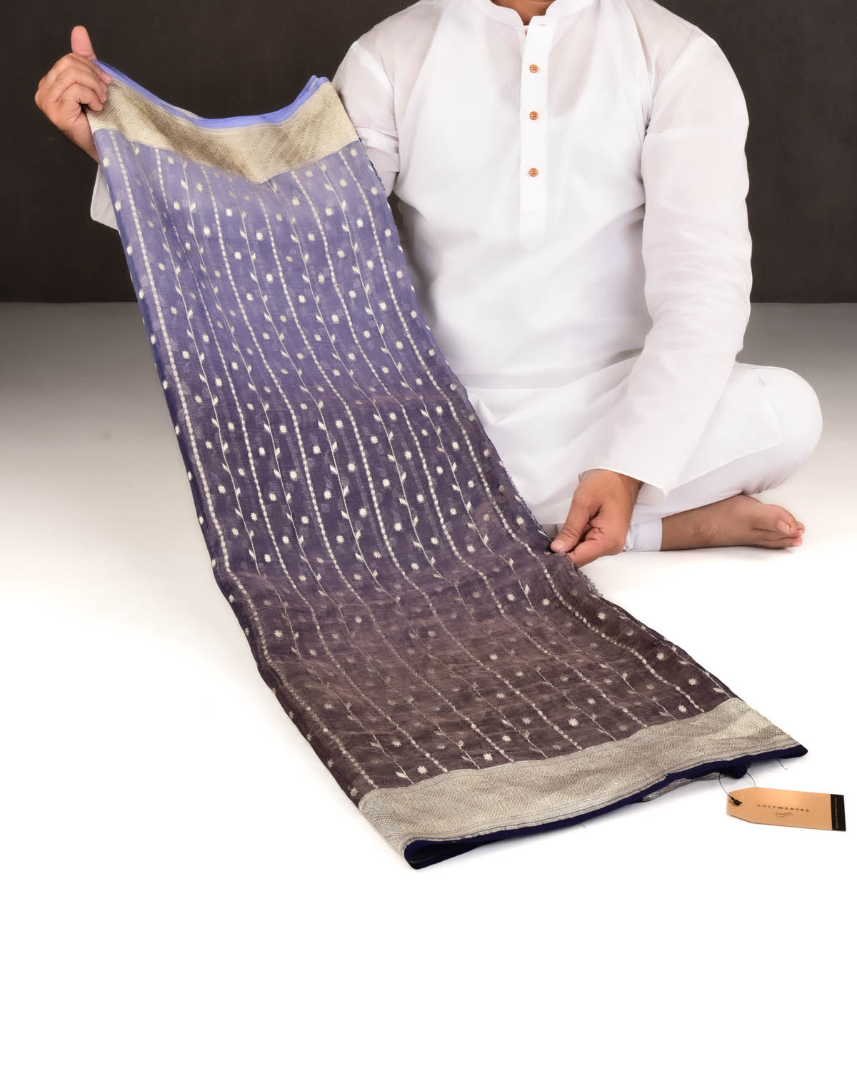 Ombre Blue Banarasi Gold Zari Ornament Stripes Cutwork Brocade Handwoven Tissue Georgette Saree-HolyWeaves