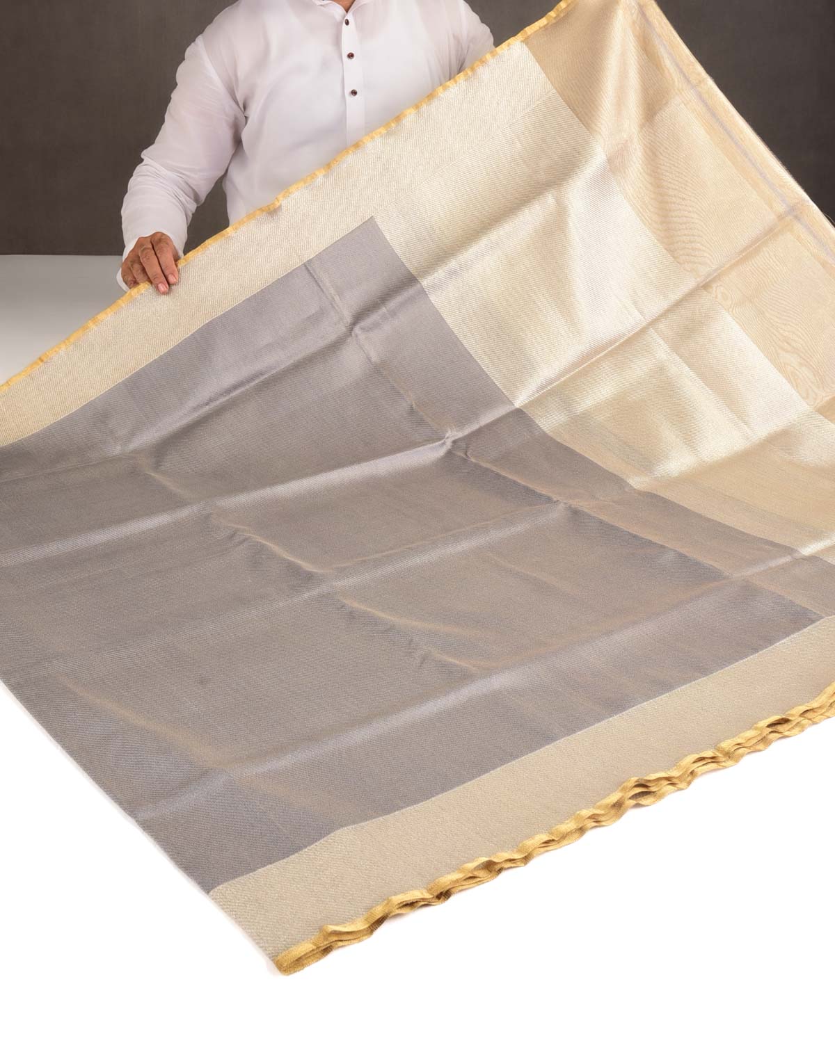 Metallic Gray Drill Brocade Handwoven Net Tissue Banarasi Saree with Silver Zari Border Pallu-HolyWeaves