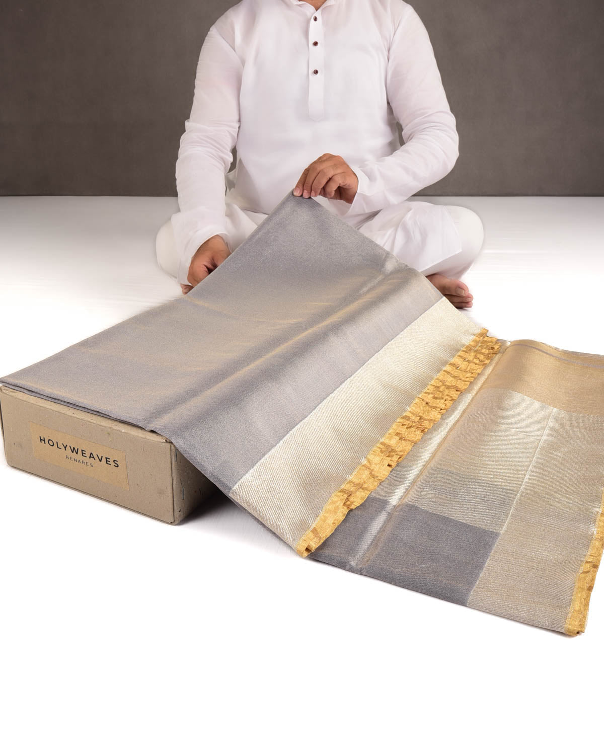 Metallic Gray Drill Brocade Handwoven Net Tissue Banarasi Saree with Silver Zari Border Pallu-HolyWeaves