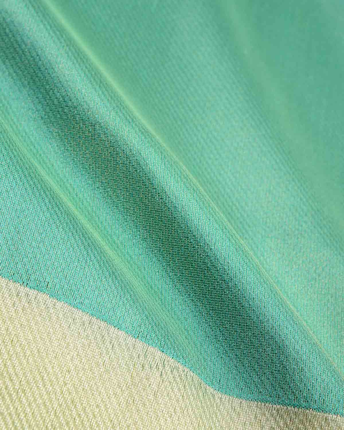 Metallic Paris Green Drill Brocade Handwoven Net Tissue Banarasi Saree with Silver Zari Border Pallu-HolyWeaves