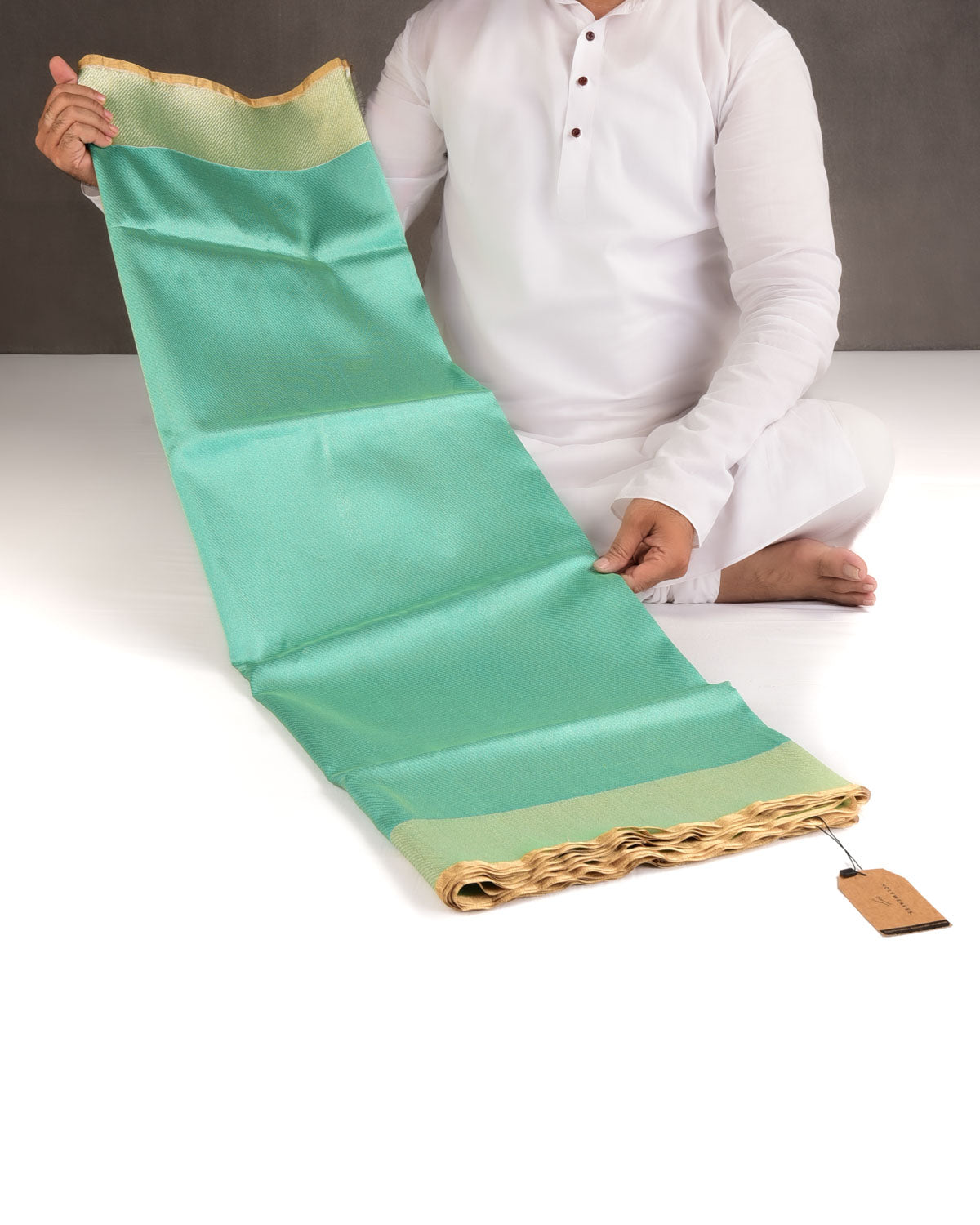 Metallic Paris Green Drill Brocade Handwoven Net Tissue Banarasi Saree with Silver Zari Border Pallu-HolyWeaves