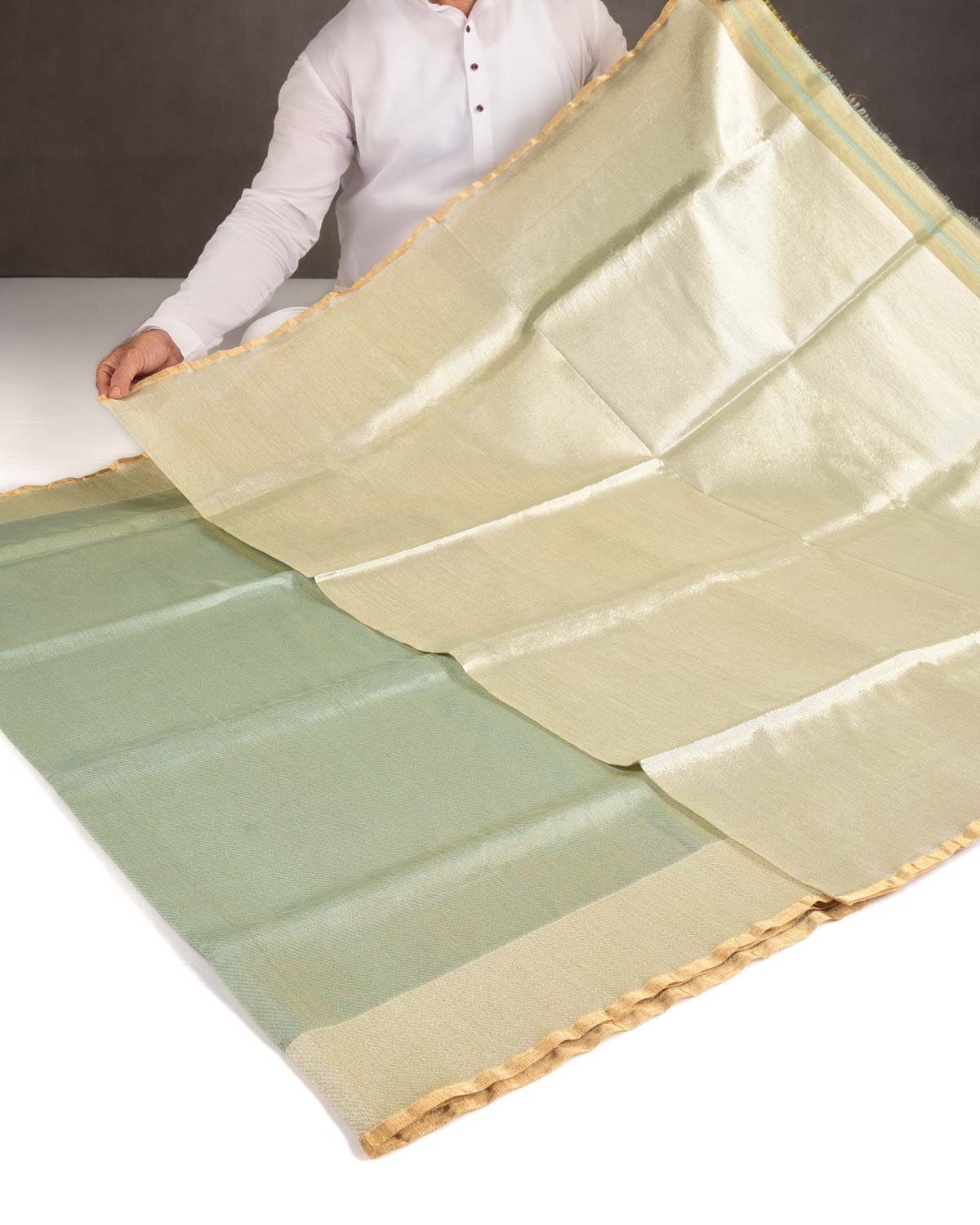 Metallic Gray-Green Drill Brocade Handwoven Net Tissue Banarasi Saree with Silver Zari Border Pallu-HolyWeaves