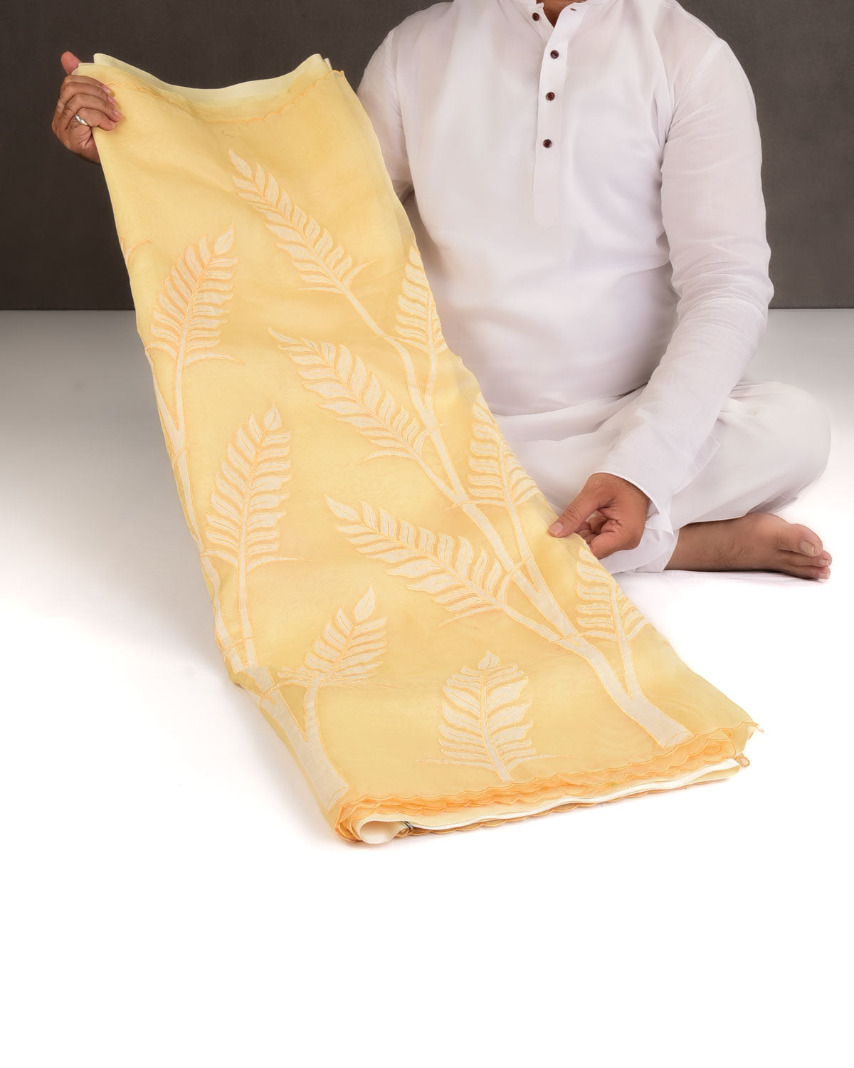 Powder Yellow Palm Leaves Applique Kora Silk Saree with Satin Blouse Piece-HolyWeaves
