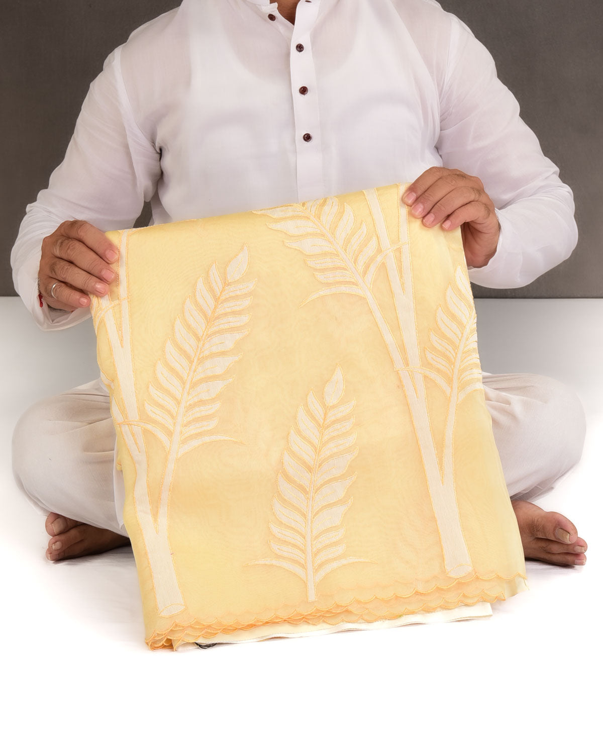 Powder Yellow Palm Leaves Applique Kora Silk Saree with Satin Blouse Piece-HolyWeaves