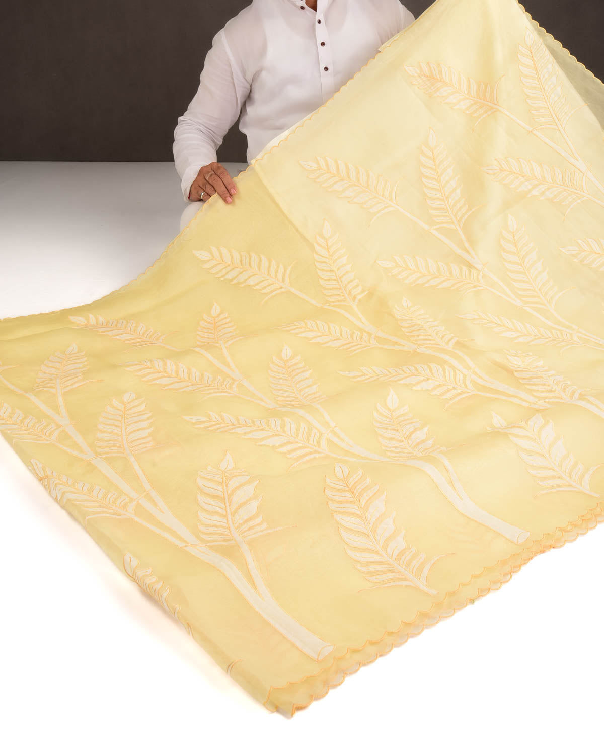 Powder Yellow Palm Leaves Applique Kora Silk Saree with Satin Blouse Piece-HolyWeaves