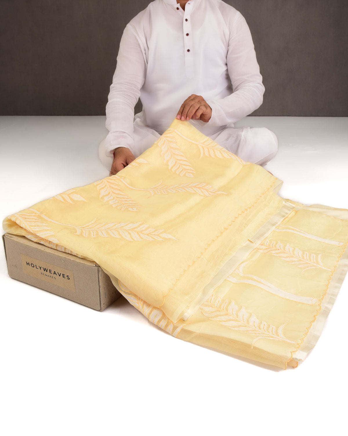 Powder Yellow Palm Leaves Applique Kora Silk Saree with Satin Blouse Piece-HolyWeaves