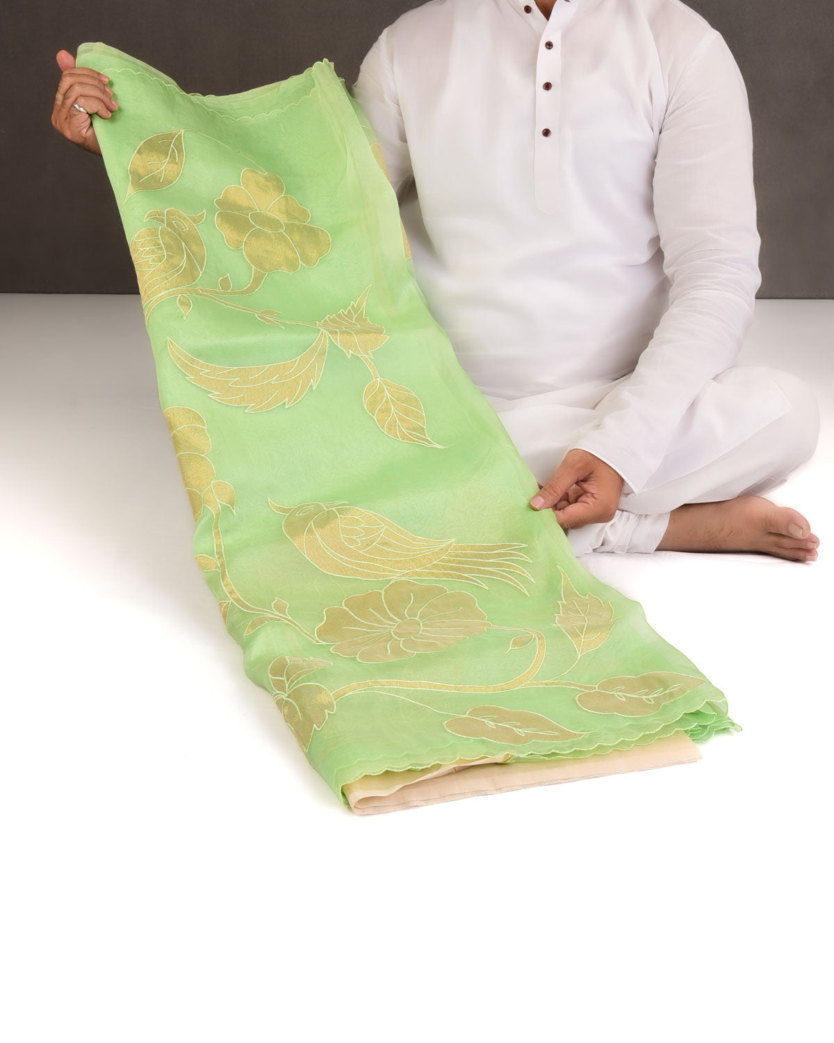 Powder Green Parrots Applique Kora Silk Saree with Tissue Blouse Piece-HolyWeaves
