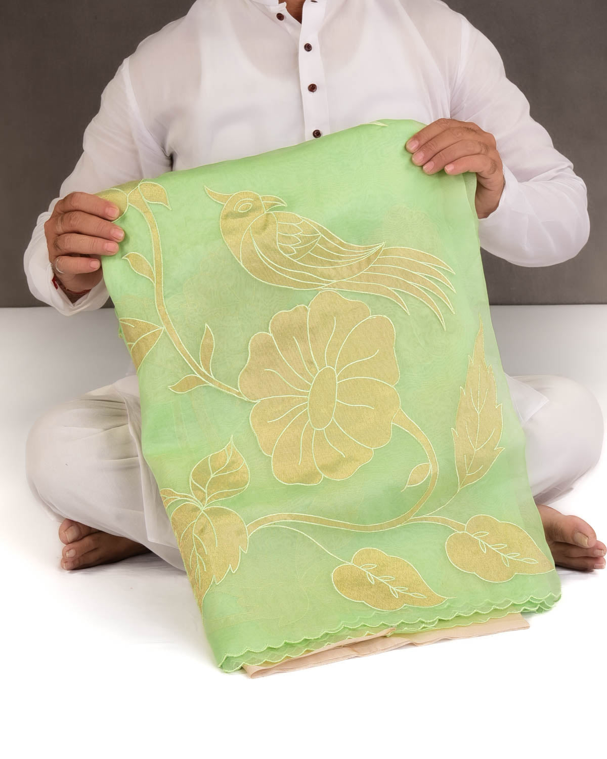Powder Green Parrots Applique Kora Silk Saree with Tissue Blouse Piece-HolyWeaves