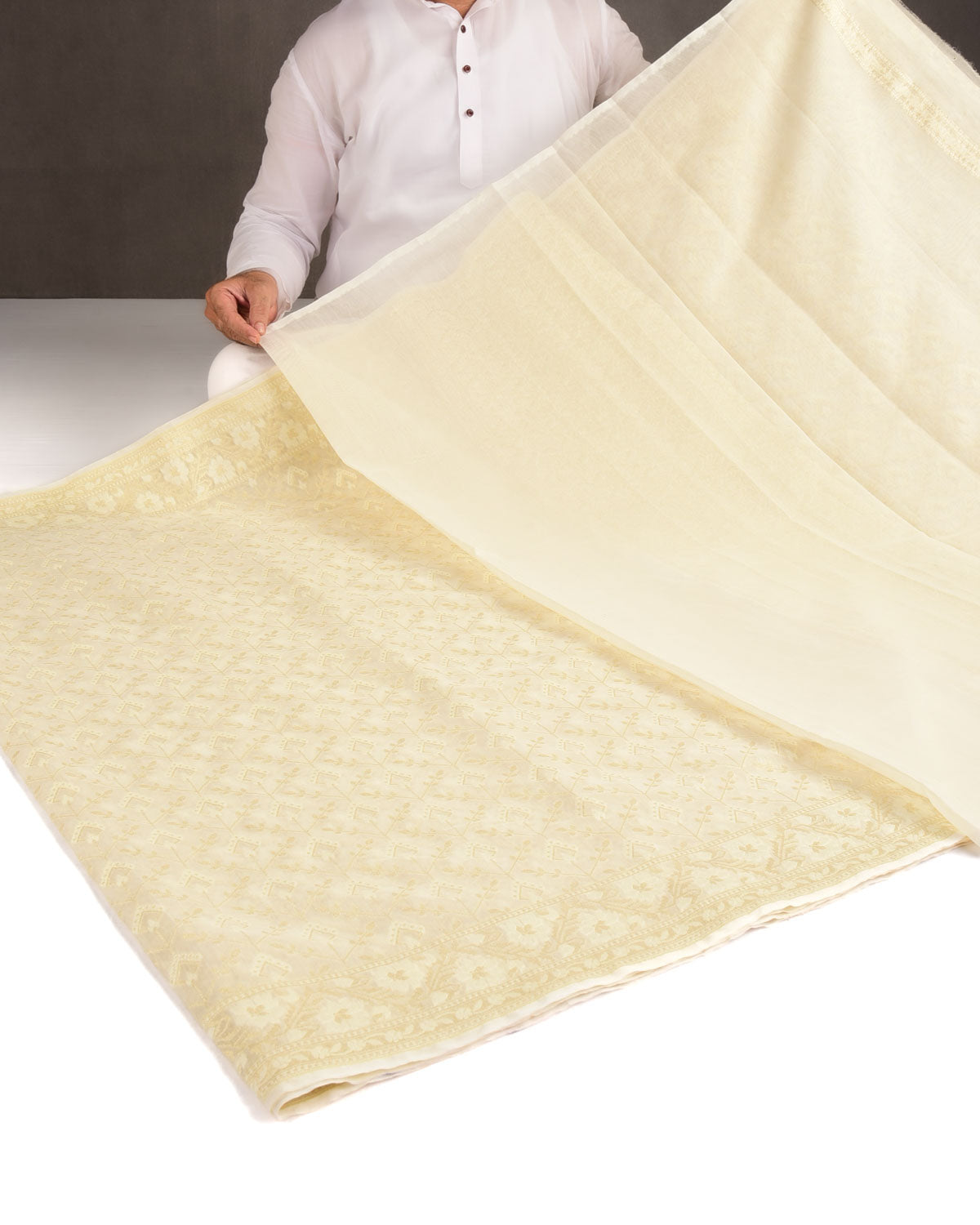 Ivory White Gold Zari & Resham Cutwork Brocade Woven Art Cotton Silk Banarasi Saree-HolyWeaves