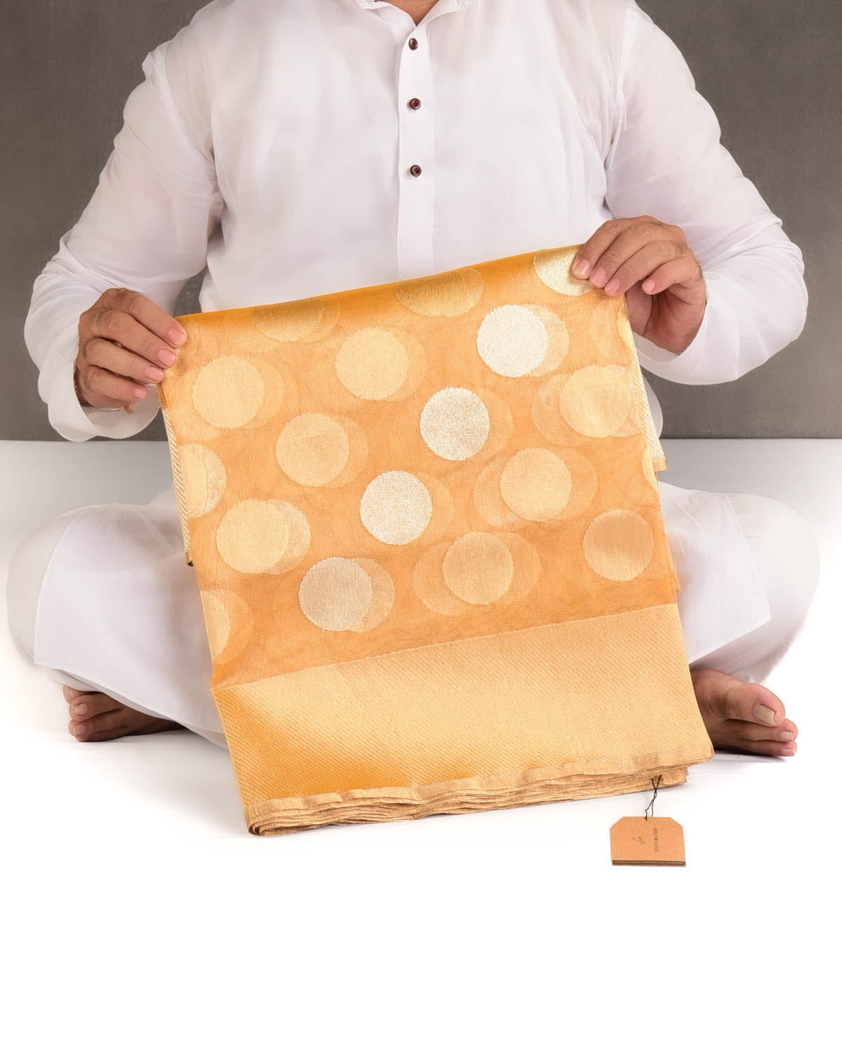 Metallic Yellow Gold and Silver Zari Big Polka Kadhuan Brocade Handwoven Net Tissue Banarasi Saree-HolyWeaves