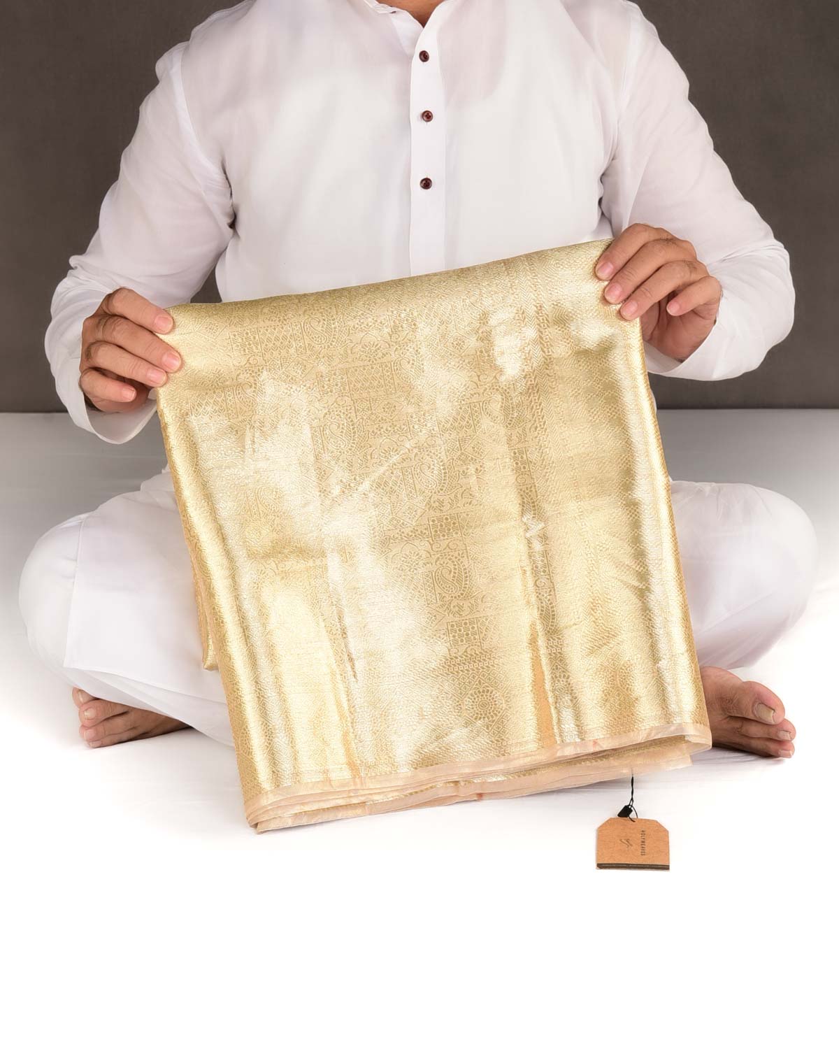 Metallic Gold Zari Tanchoi Brocade Woven Tissue Banarasi Saree-HolyWeaves