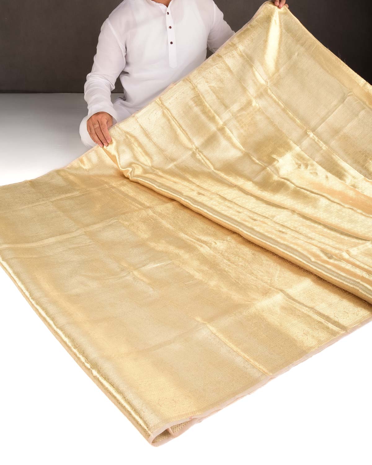 Metallic Gold Zari Tanchoi Brocade Woven Tissue Banarasi Saree-HolyWeaves