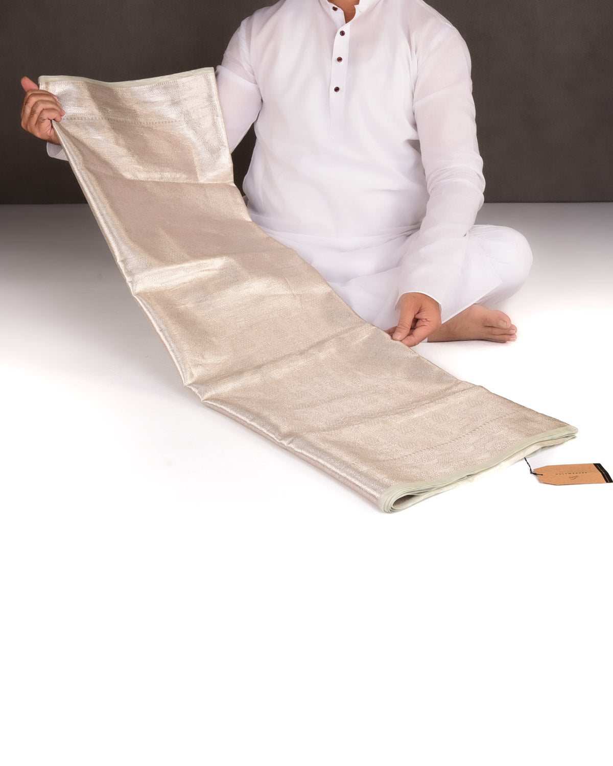 Metallic Silver Brocade Woven Tissue Banarasi Saree-HolyWeaves