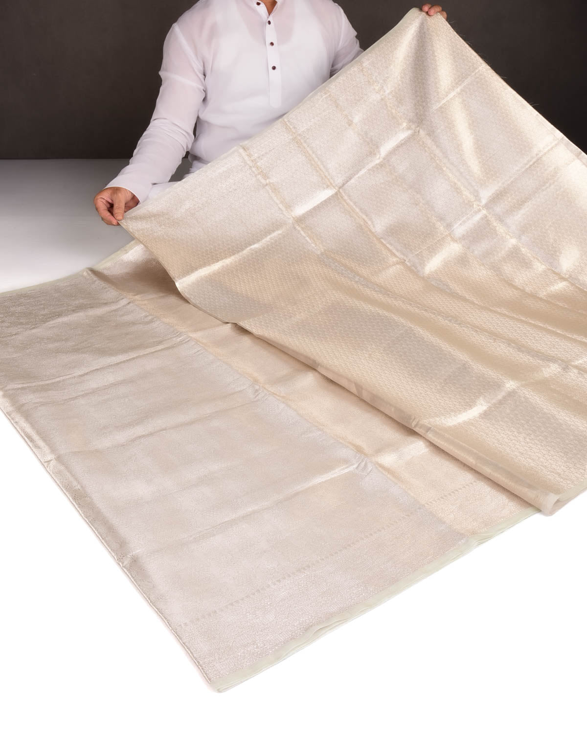 Metallic Silver Brocade Woven Tissue Banarasi Saree-HolyWeaves