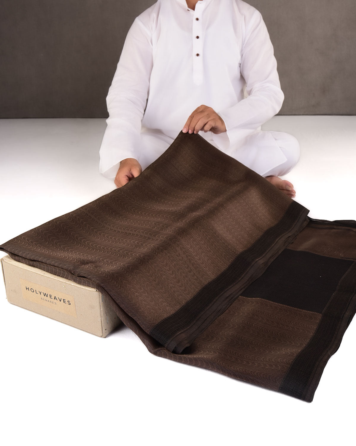 Brown WATERMARK Illusion Waves Tanchoi Handwoven Kora Silk Banarasi Saree-HolyWeaves