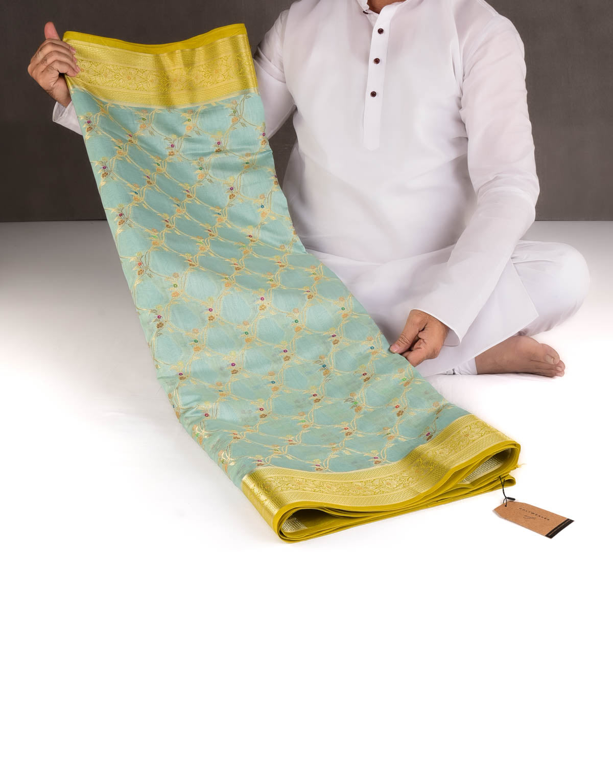 Blue Gold Zari & Meenekari Jaal Cutwork Brocade Woven Spun Silk Banarasi Saree with Green Border Pallu-HolyWeaves